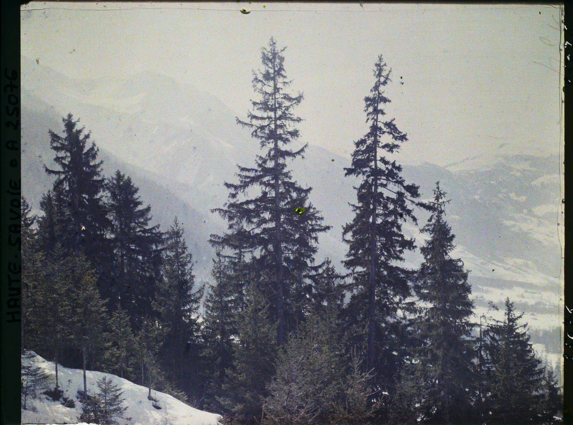 Image représentant France Les Alpes, Les Bossons, Vue vers le Mt Lachat, le Col de Voza et le Prarion