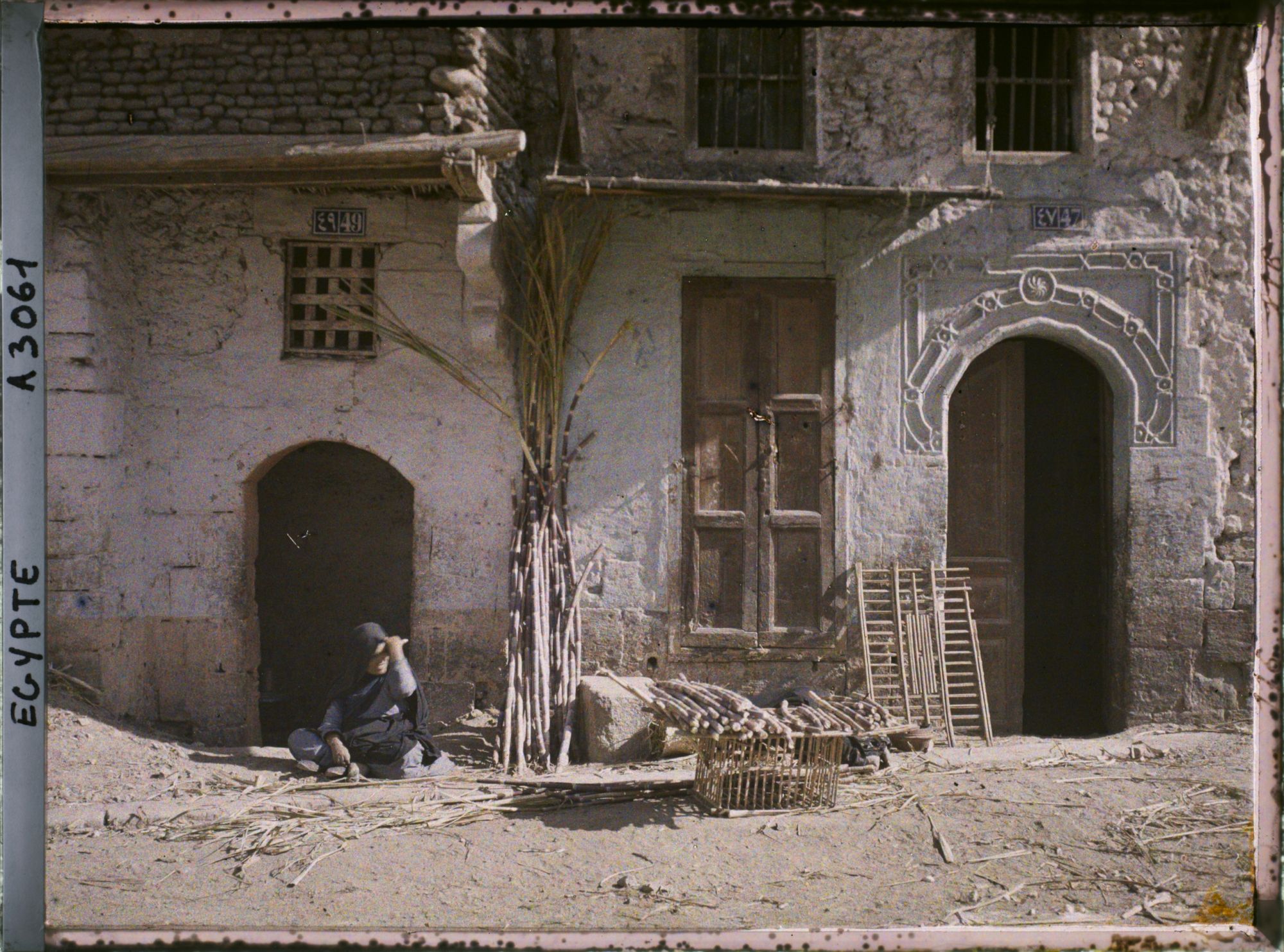 Image représentant Marchande de canne à sucre