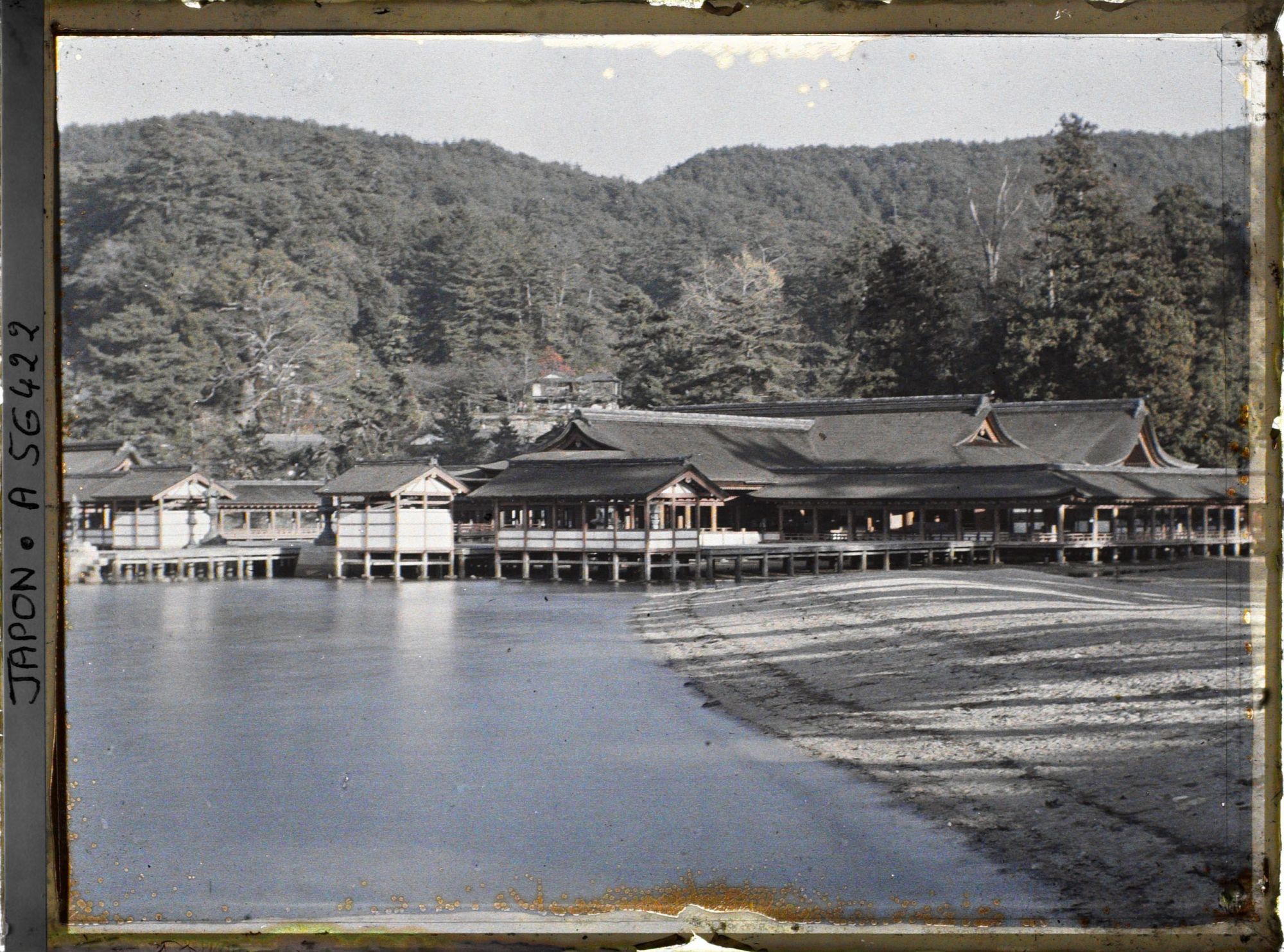 Image représentant Vue générale de l'Itsukushima-jinja