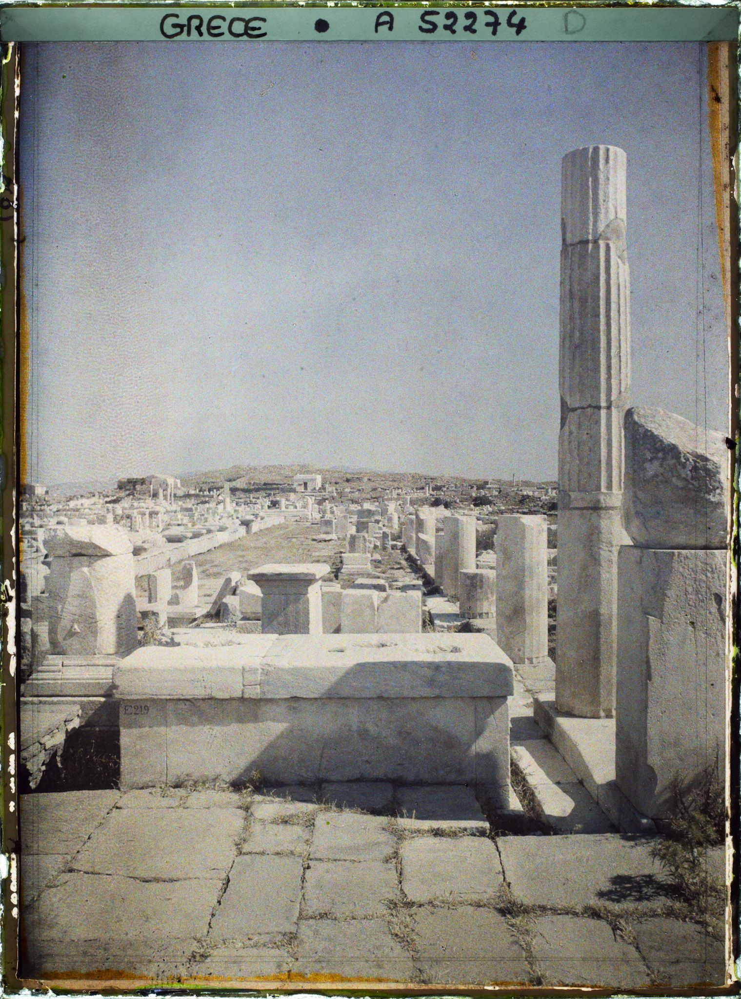 Image représentant Quartier du Hieron (sanctuaire) d'Apollon, l'avenue des Processions conduisant au Hieron (direction nord)