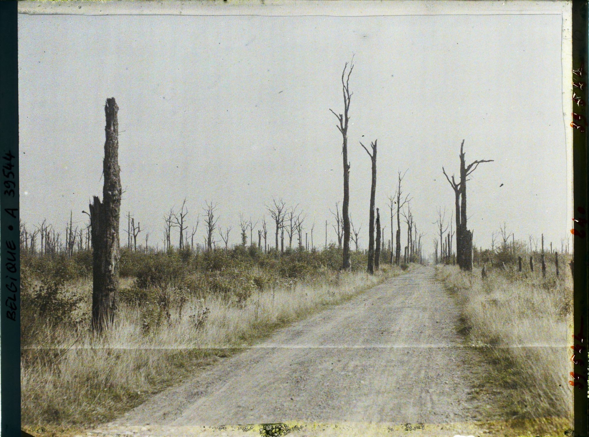 Image représentant Belgique, Font d'Houthulst, Font d'Houthulst, Route dans le font (Sud Est)