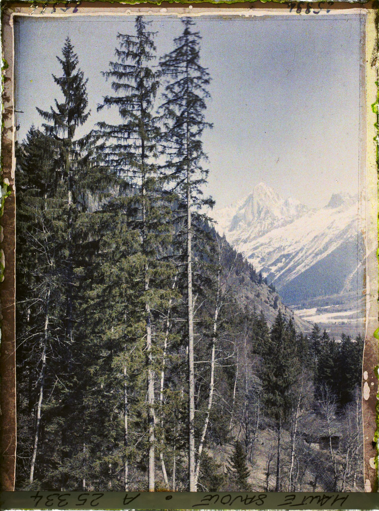 Image représentant France Les Alpes, Vallée de Chamonix, Paysage vers l' Aiguille Verte