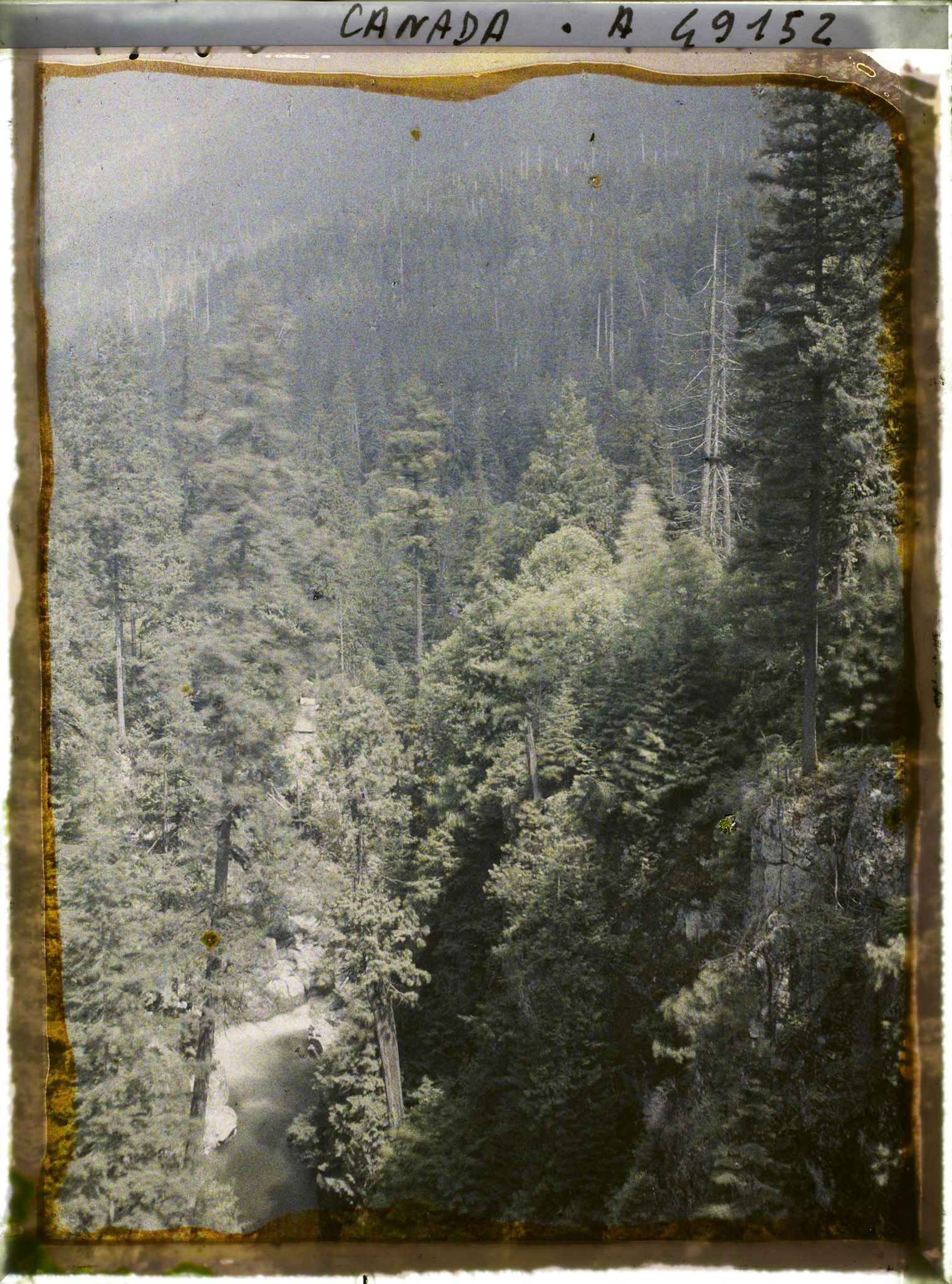 Image représentant Canada, Vancouver, Capilane Canyon, Le 1er Canyon aval