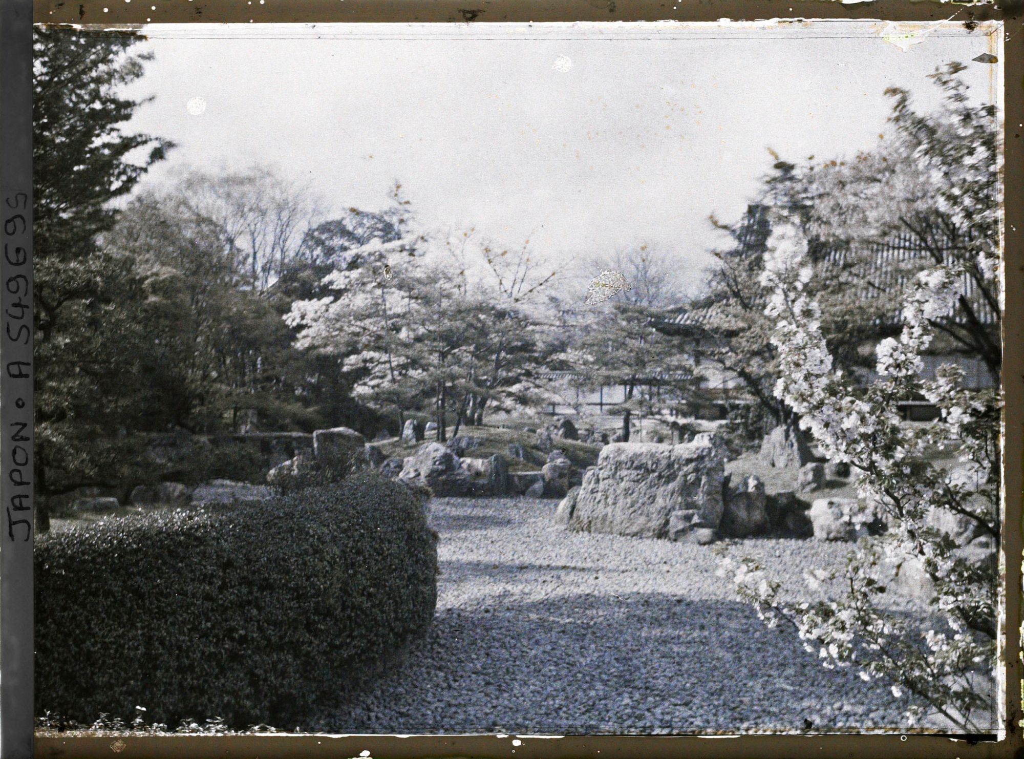 Image représentant Palais Nijô-jô : jardin du palais Ni-no-Maru