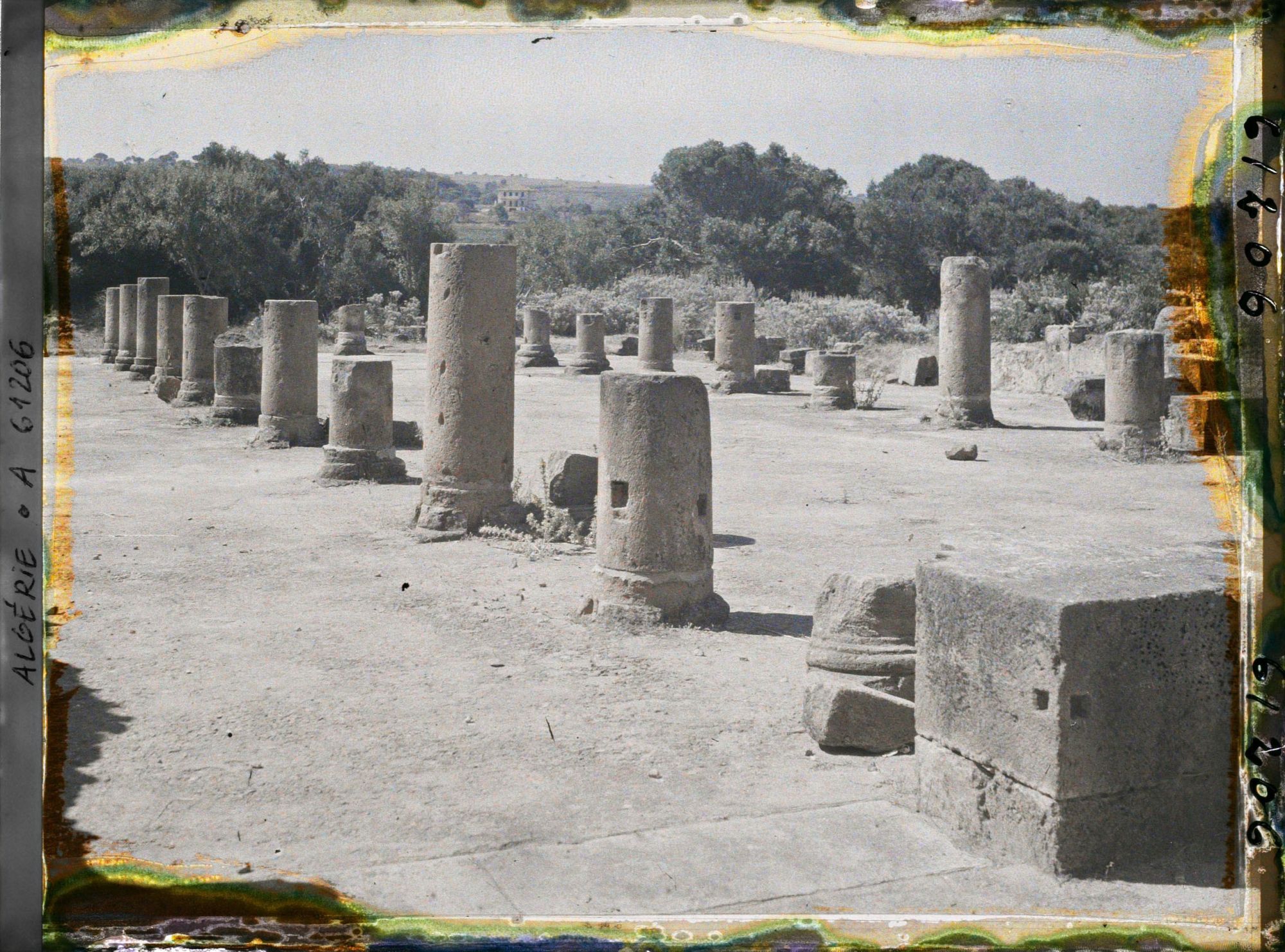 Image représentant La basilique judiciaire