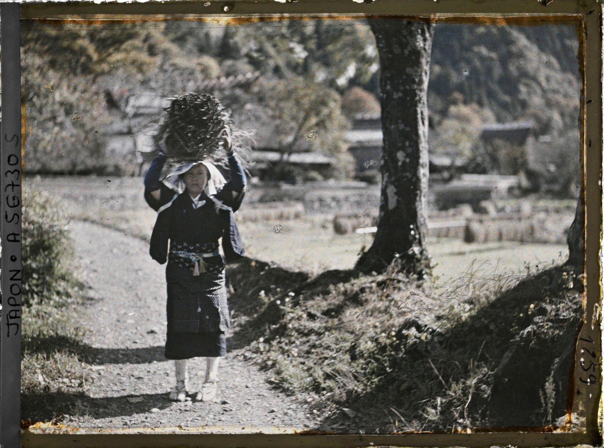 Image représentant Paysanne portant un fagot sur la tête