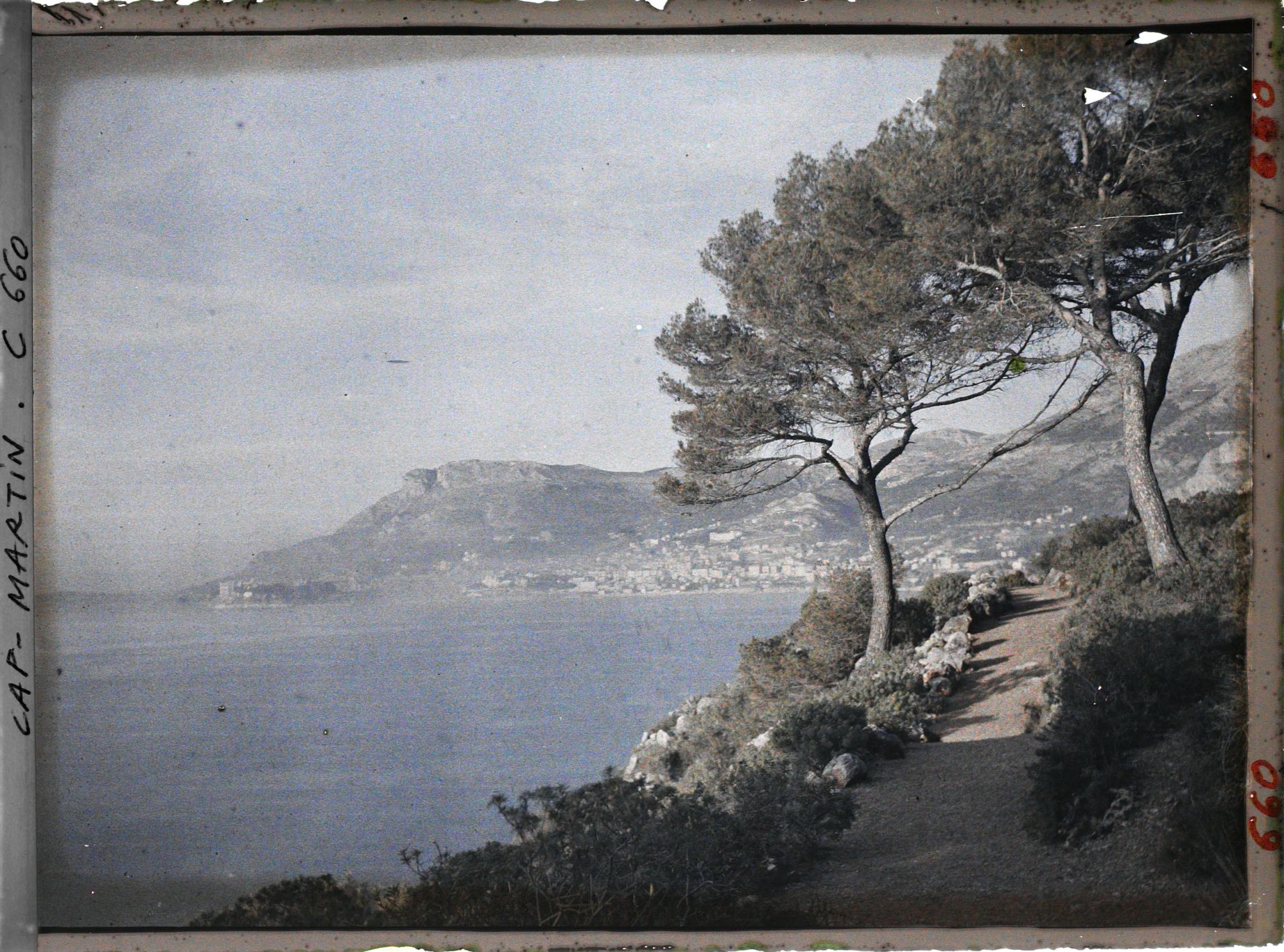 Image représentant Vue de Monte Carlo depuis les jardins du Cap Martin