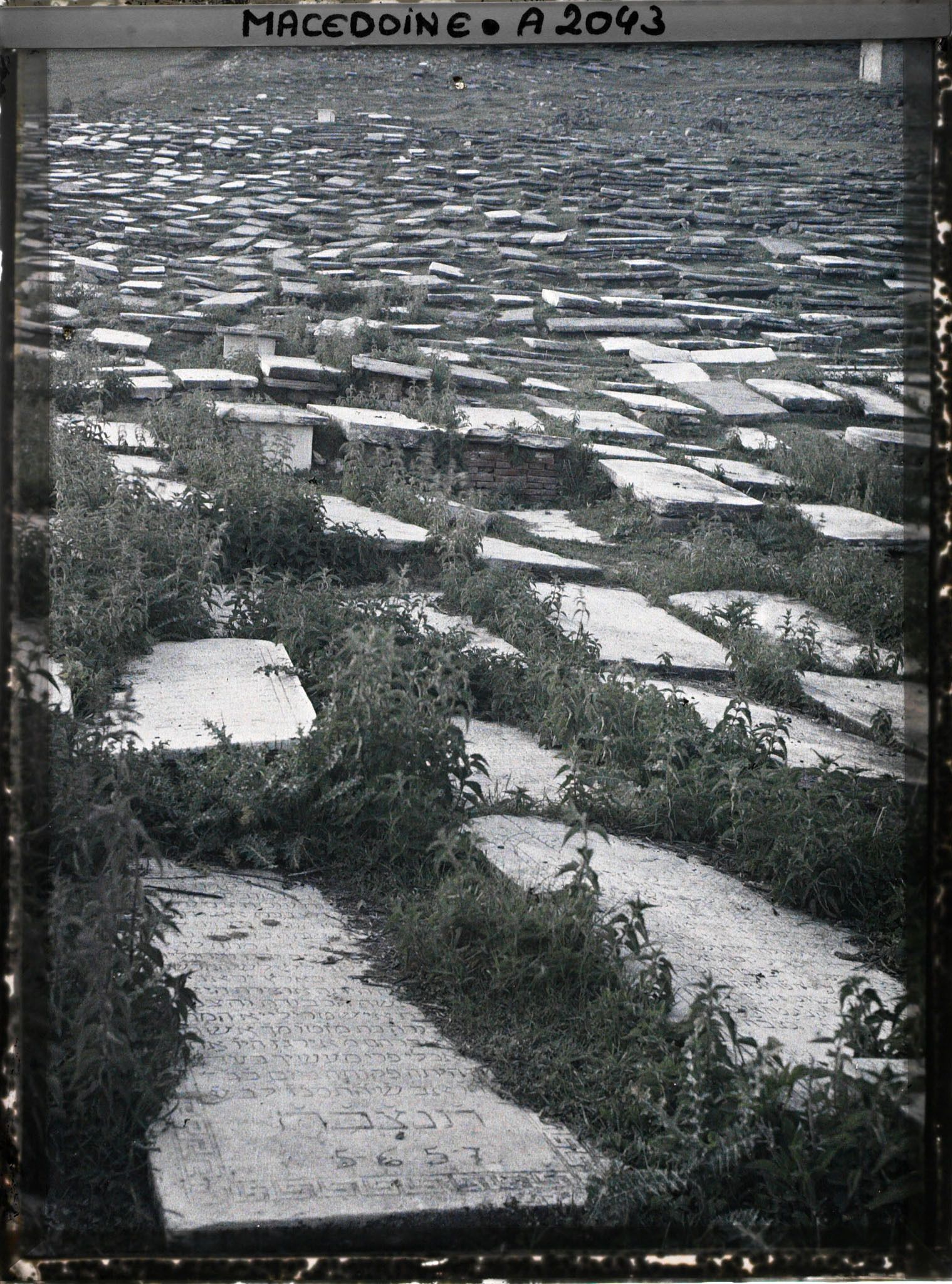 Image représentant Tombes du cimetière juif