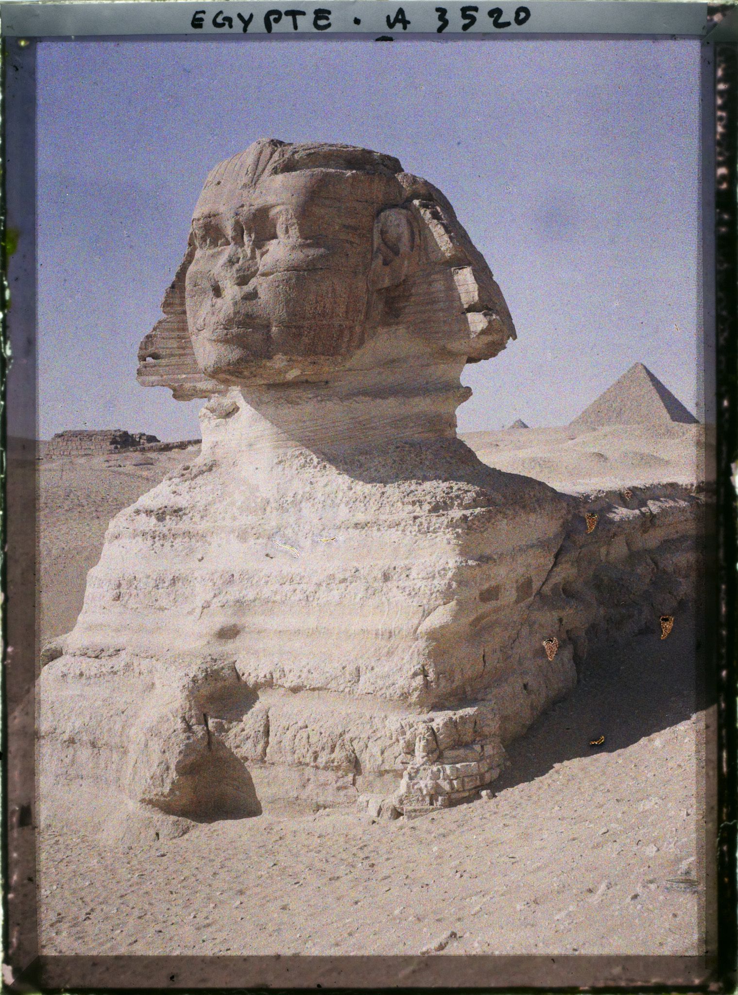 Image représentant Gros plan du Sphinx