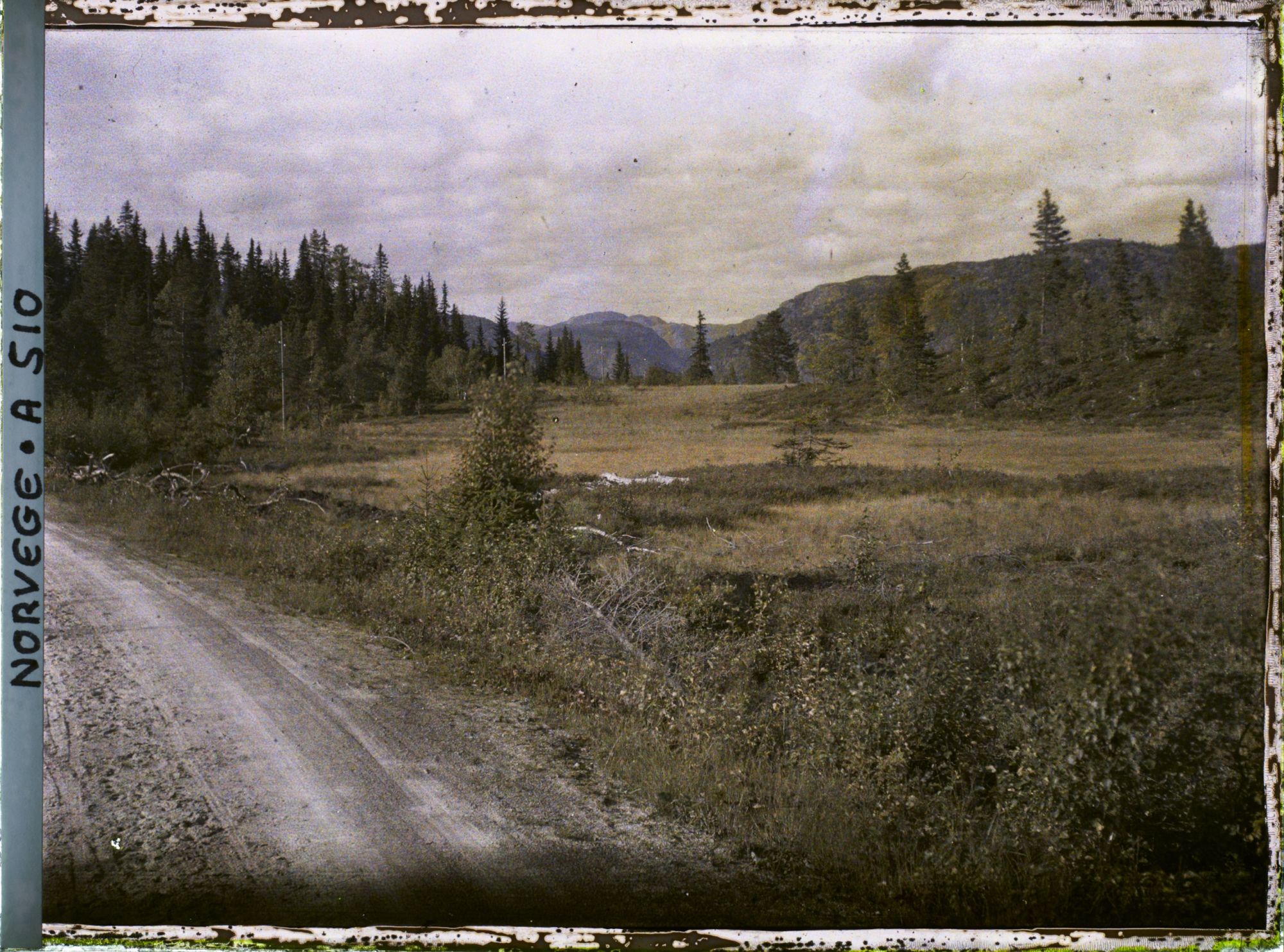 Image représentant Route dans la campagne