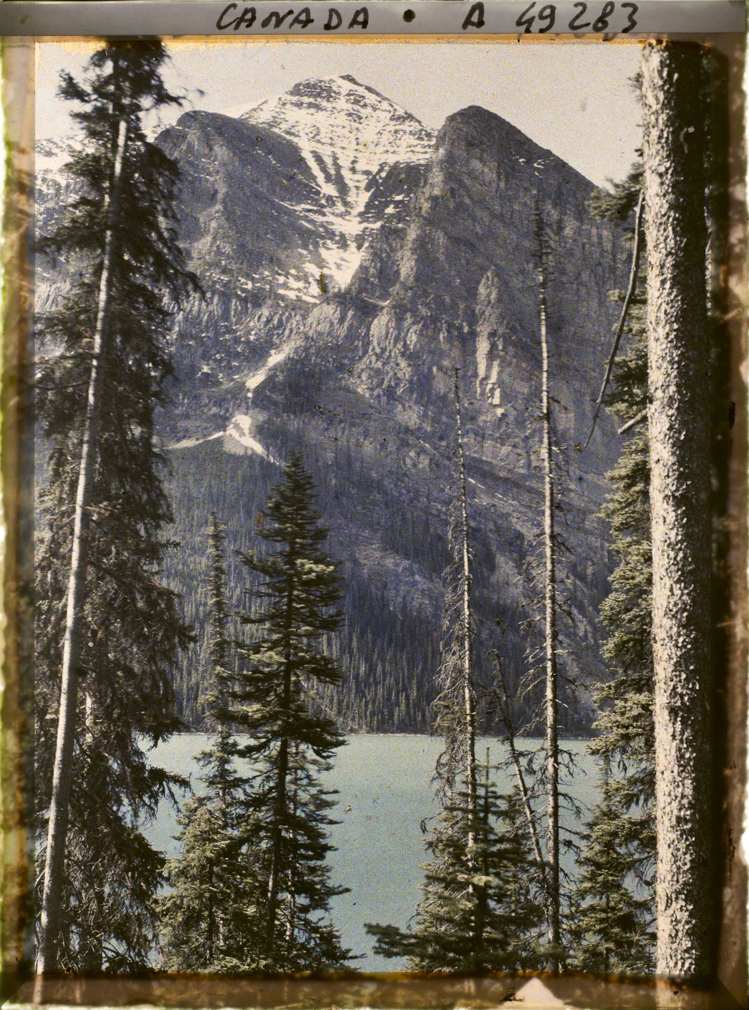 Image représentant Canada, Lac Louise, Le Lac et le Mt Fairwiev entre les arbres