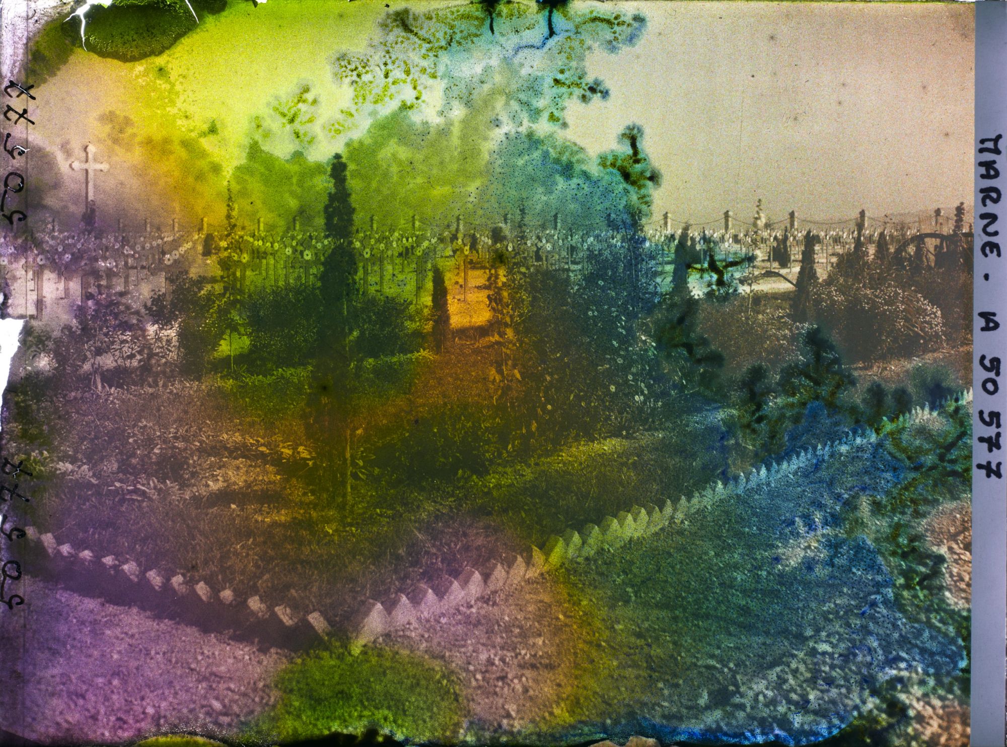 Image représentant France, Bligny, Un Coin du Cimetière Italien
