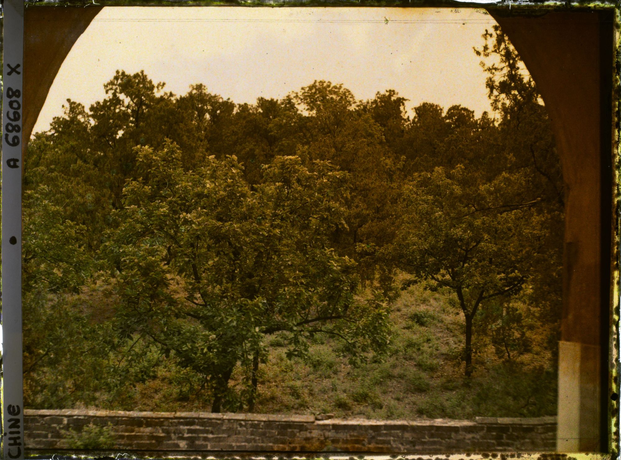 Image représentant Un paysage boisé