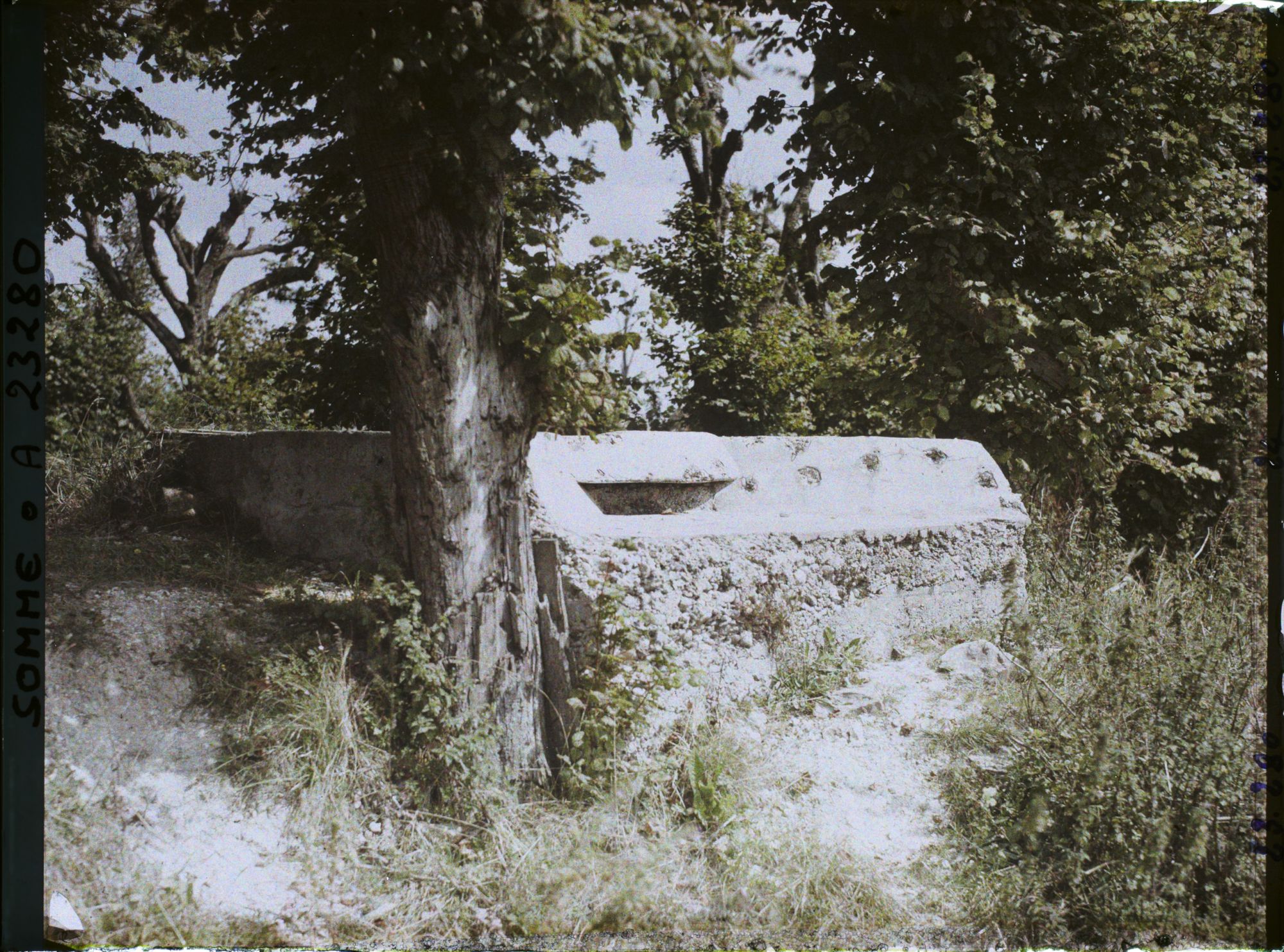 Image représentant France, Mt St Quentin, Un Observatoire boche dans le Parc du Château