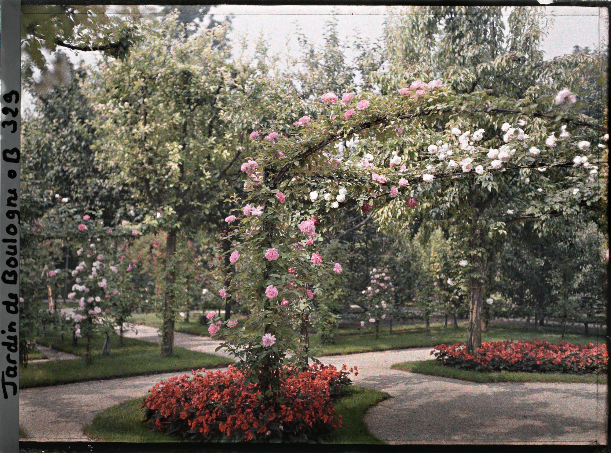 Image représentant Rond-point du verger-roseraie proche du jardin français, vu en direction du sud-ouest