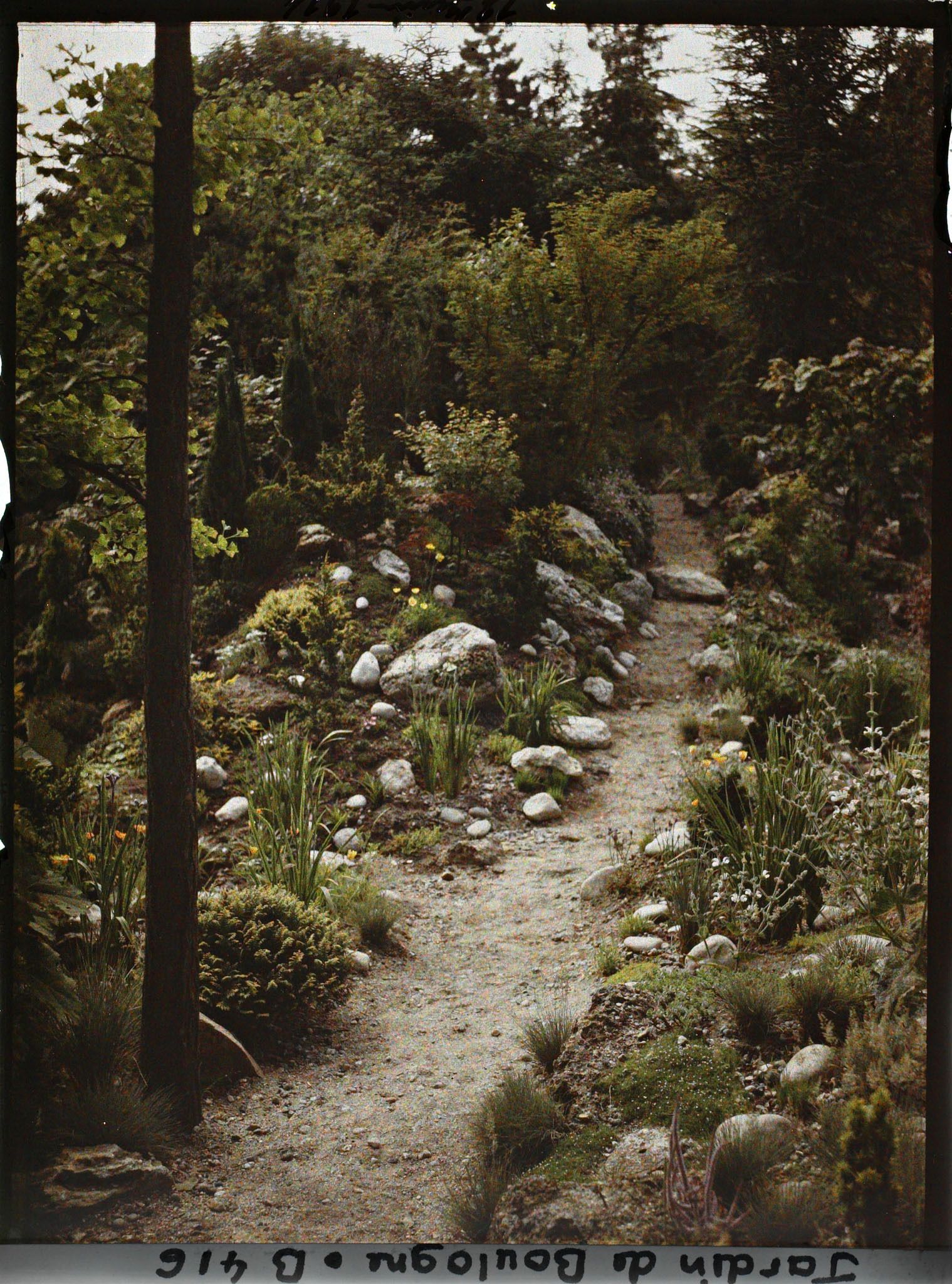 Image représentant Chemin escarpé proche du " sanctuaire japonais ", longeant un vallon rocheux du " jardin chinois "