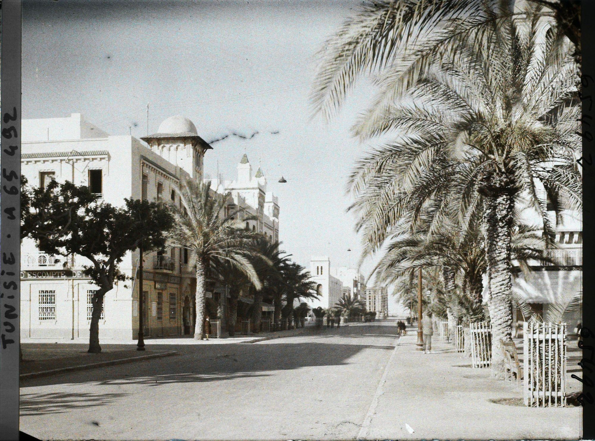 Image représentant L'avenue Jules Gau