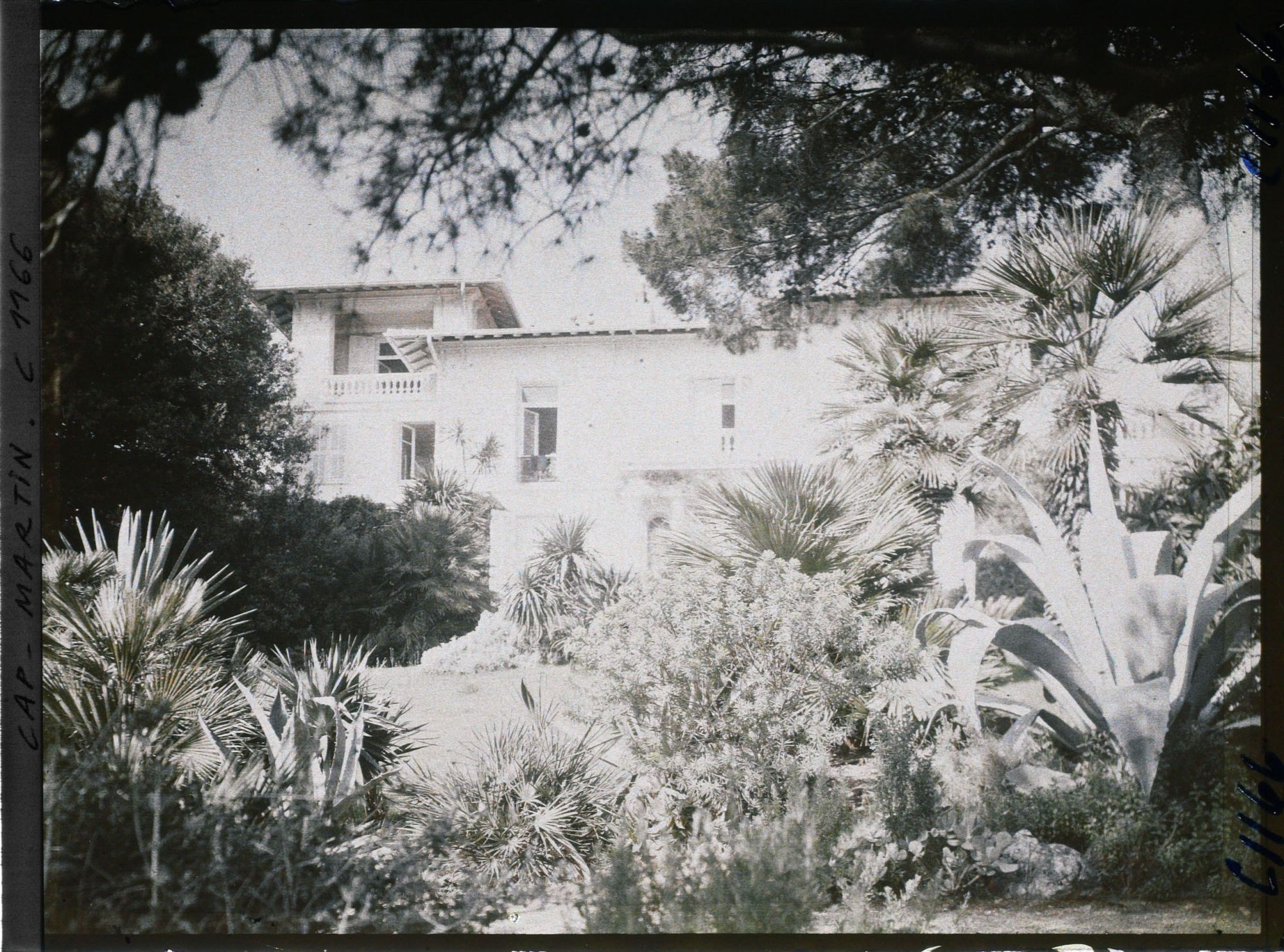 Image représentant le jardin Villa Miramar