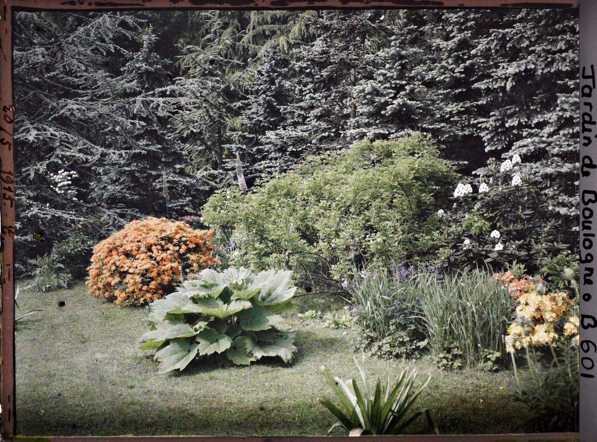 Image représentant IF7952_B000601.jpg