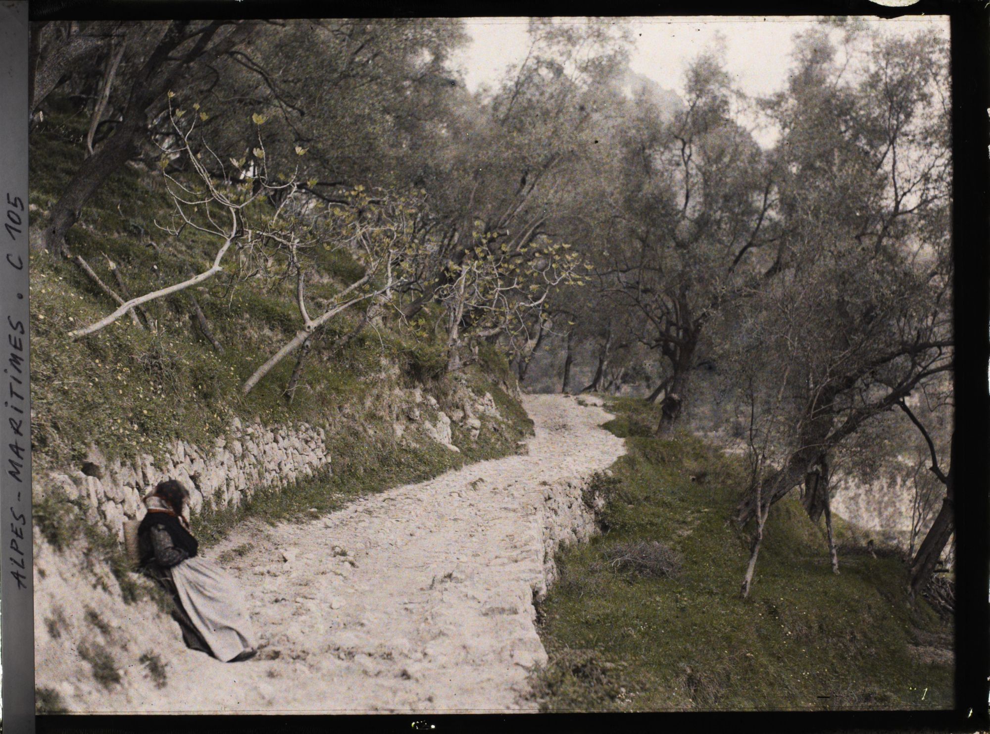 Image représentant Une femme se reposant le long du chemin