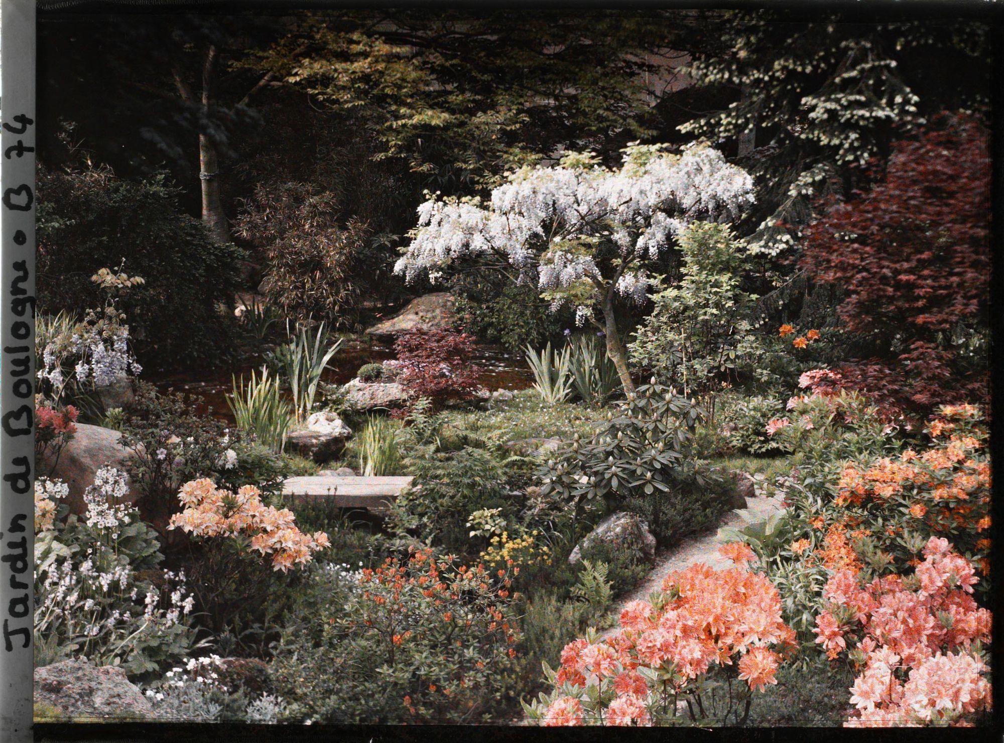 Image représentant Scène fleurie du " sanctuaire japonais " située non loin de la façade de temple