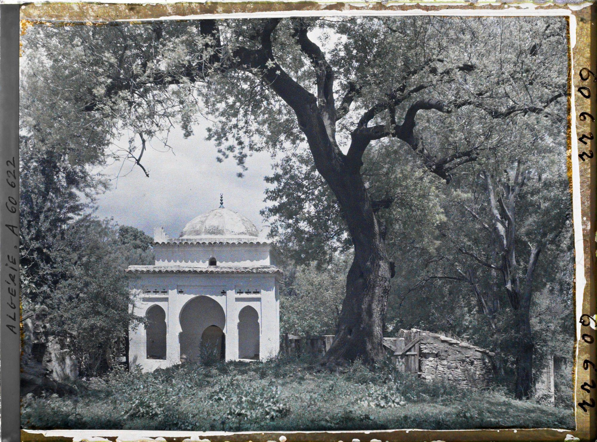 Image représentant Le tombeau de Sidi Yakoub dans le bois sacré portant le même nom