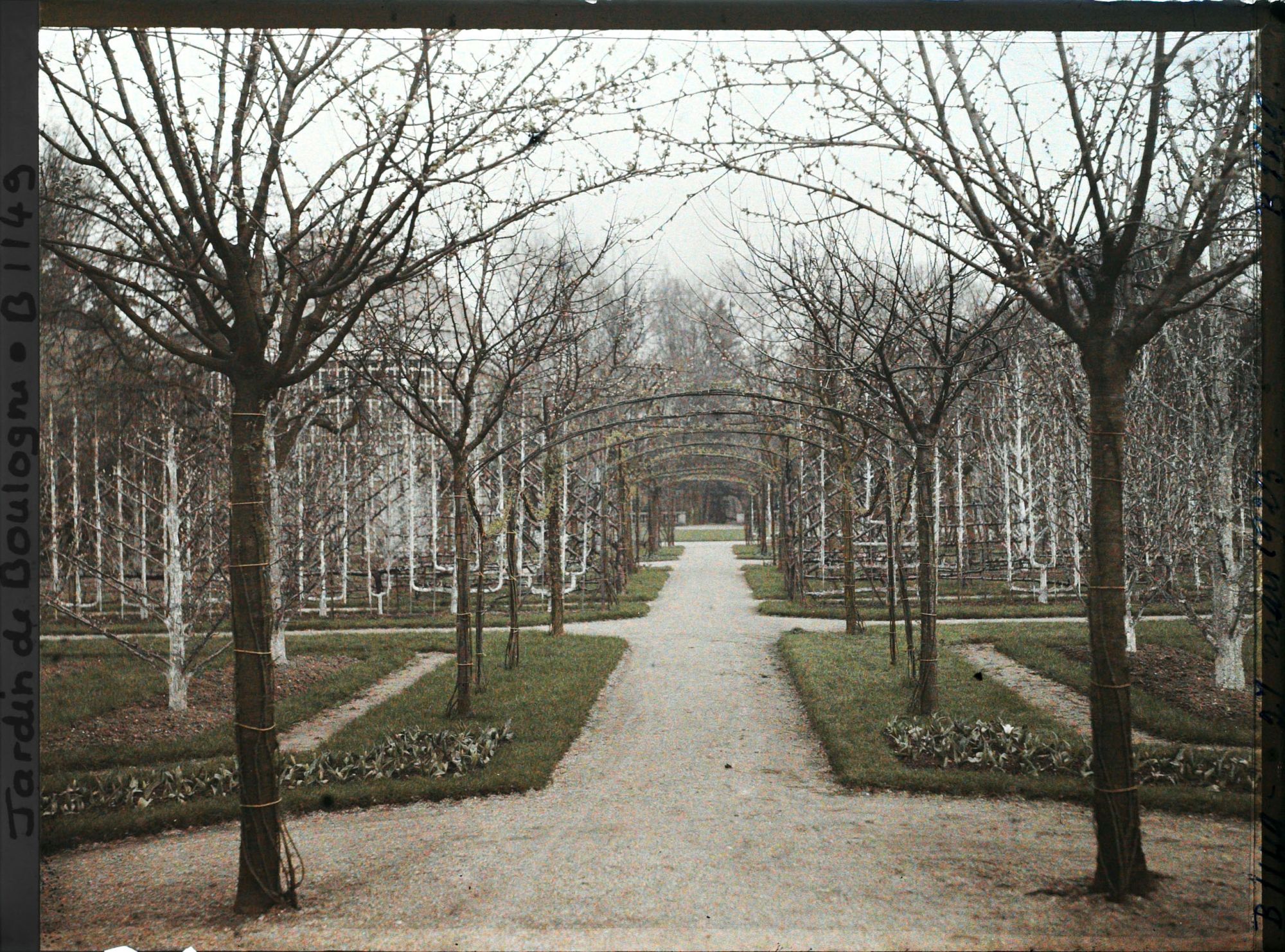 Image représentant Axe central du verger-roseraie vu en direction du jardin anglais depuis le rond-point côté dépendance