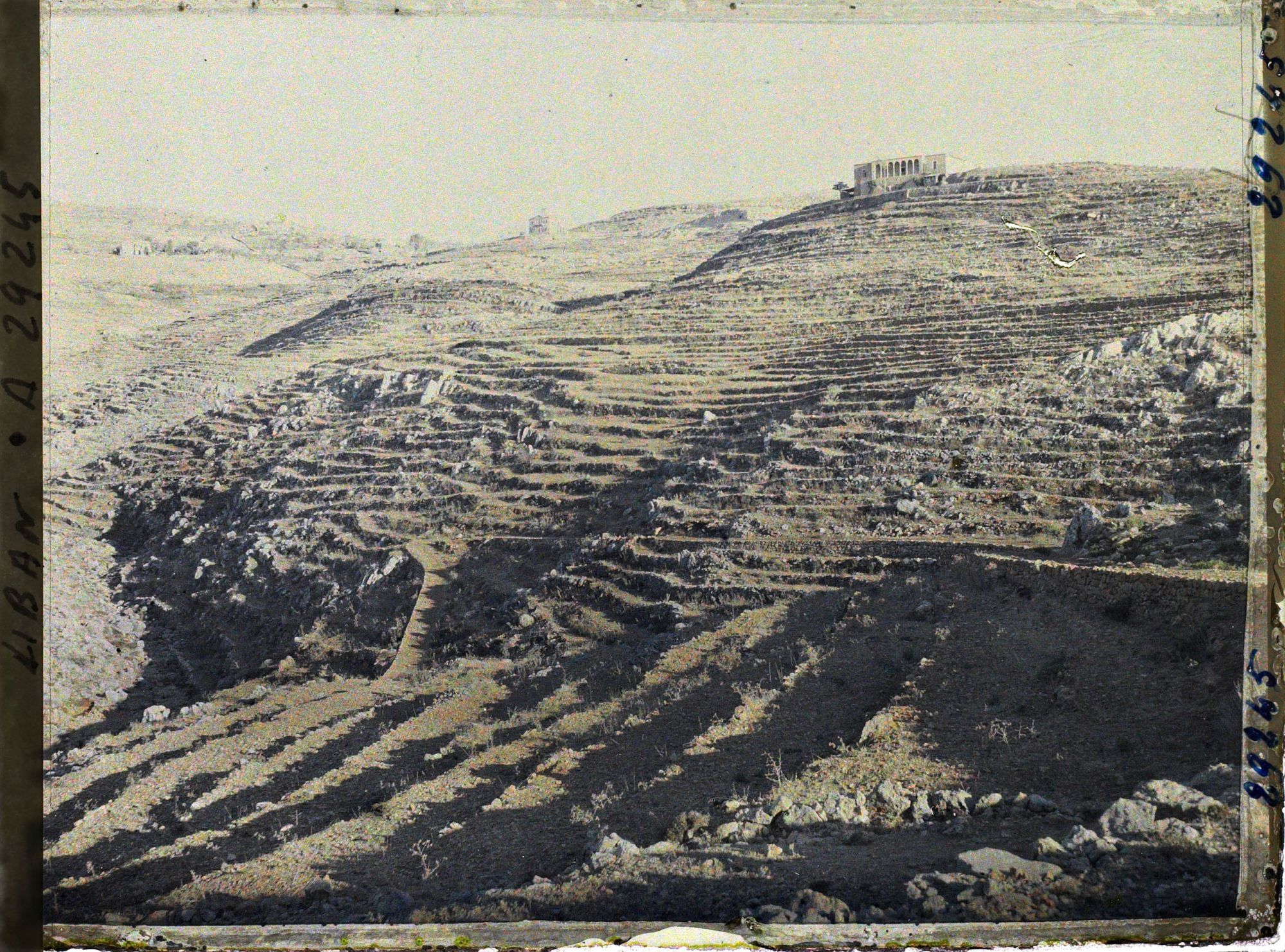 Image représentant Cultures en terrasse