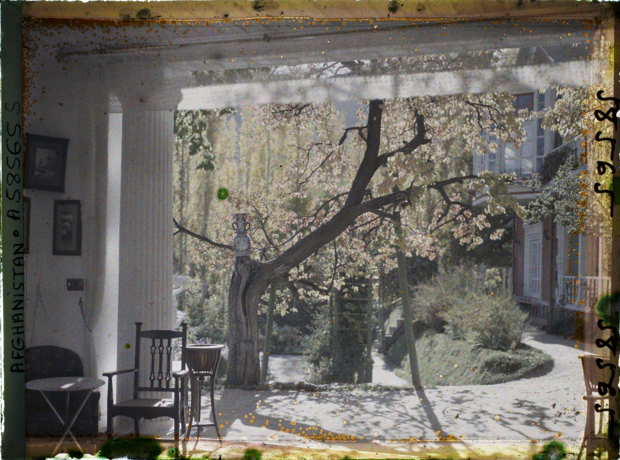 Image représentant Afghanistan, Kaboul, Jardin du Palais du Roi - Une vue prise de la rotonde travail