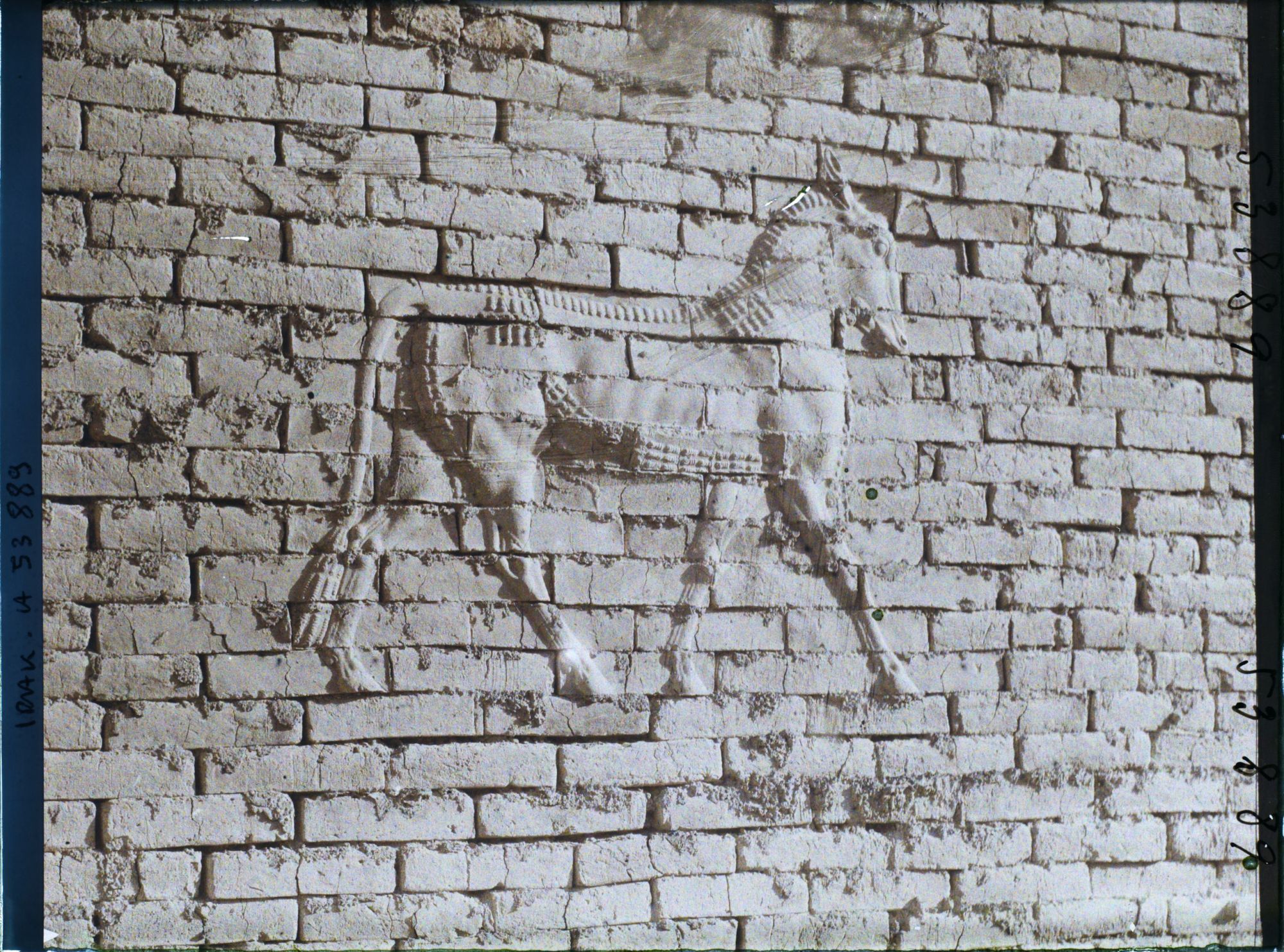 Image représentant Porte d'Ishtar : le taureau symbole d'Adad le dieu de l'orage