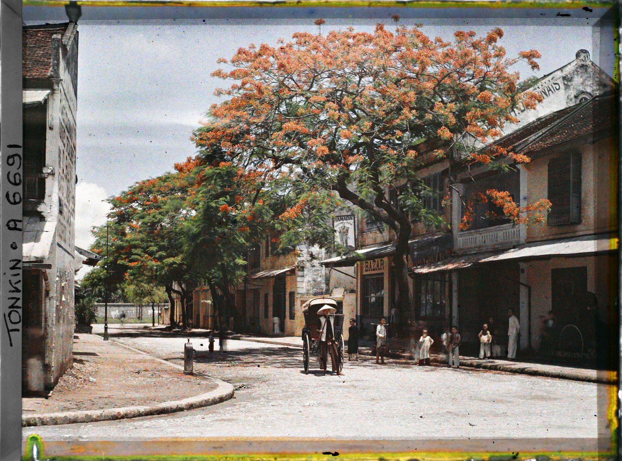 Image représentant Des flamboyants en fleurs, un pousse-pousse et des passants devant le bazar japonais " Yamada " dans la " rue des Tasses "