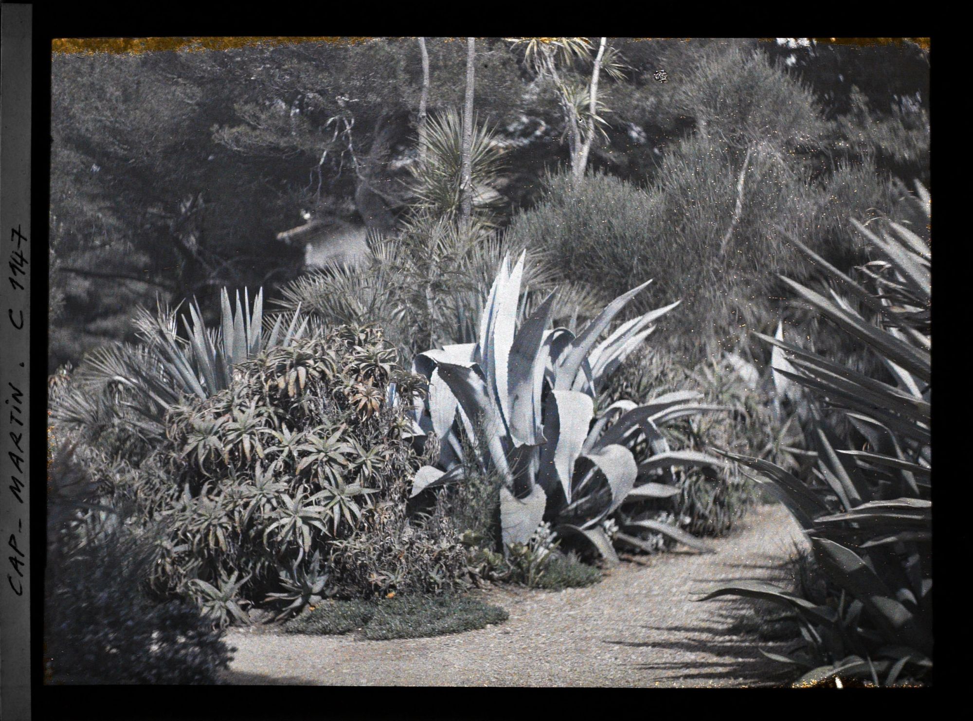 Image représentant le Jardin