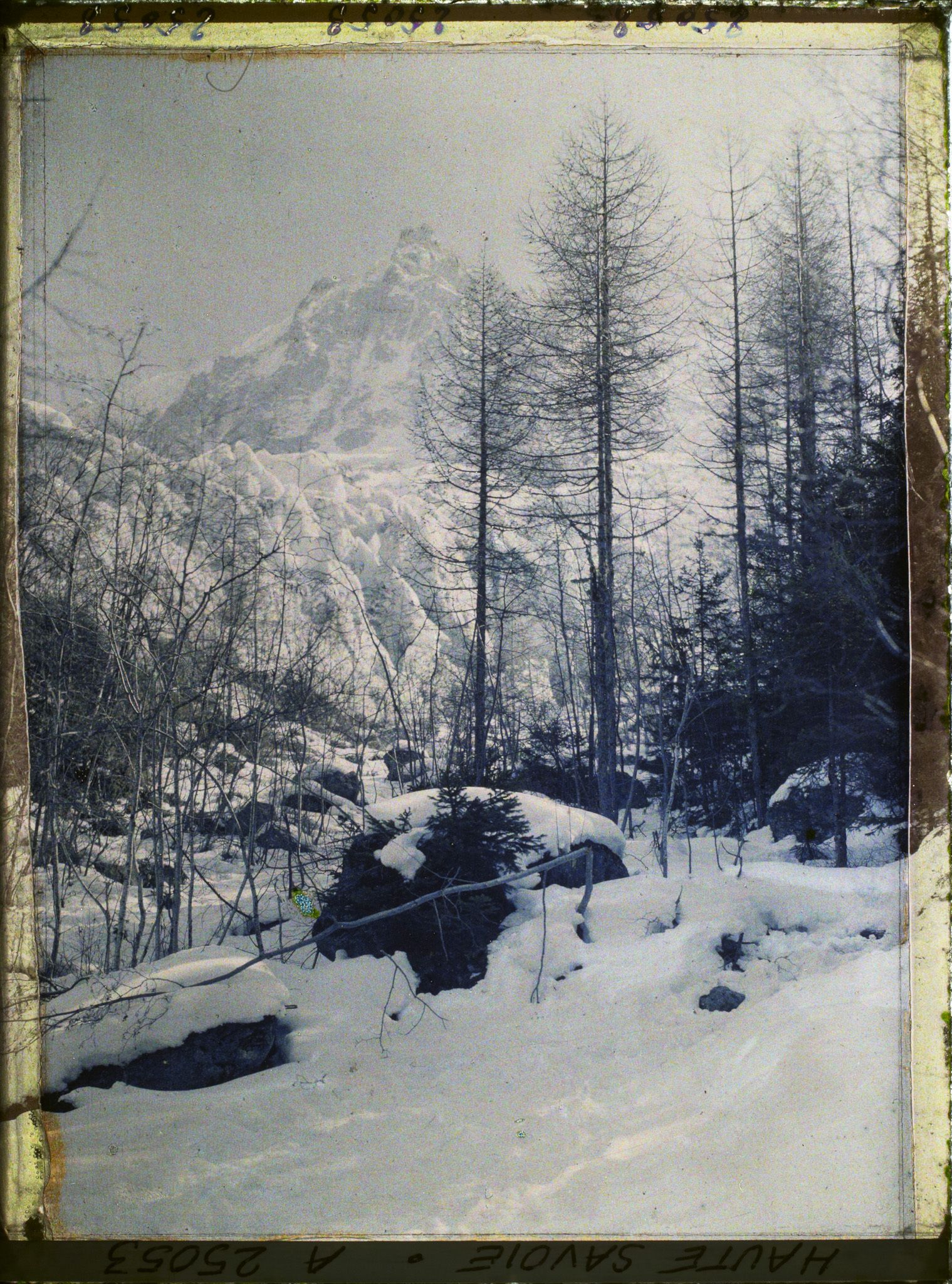 Image représentant France Les Alpes, La montée du glacier des Bossons et l'aiguille du midi, altitude approximative 1200m
