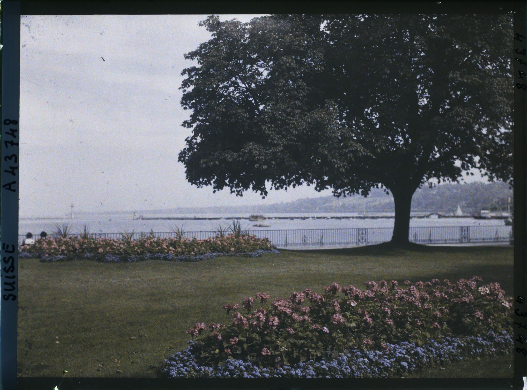 Image représentant Le Jardin anglais et le Léman