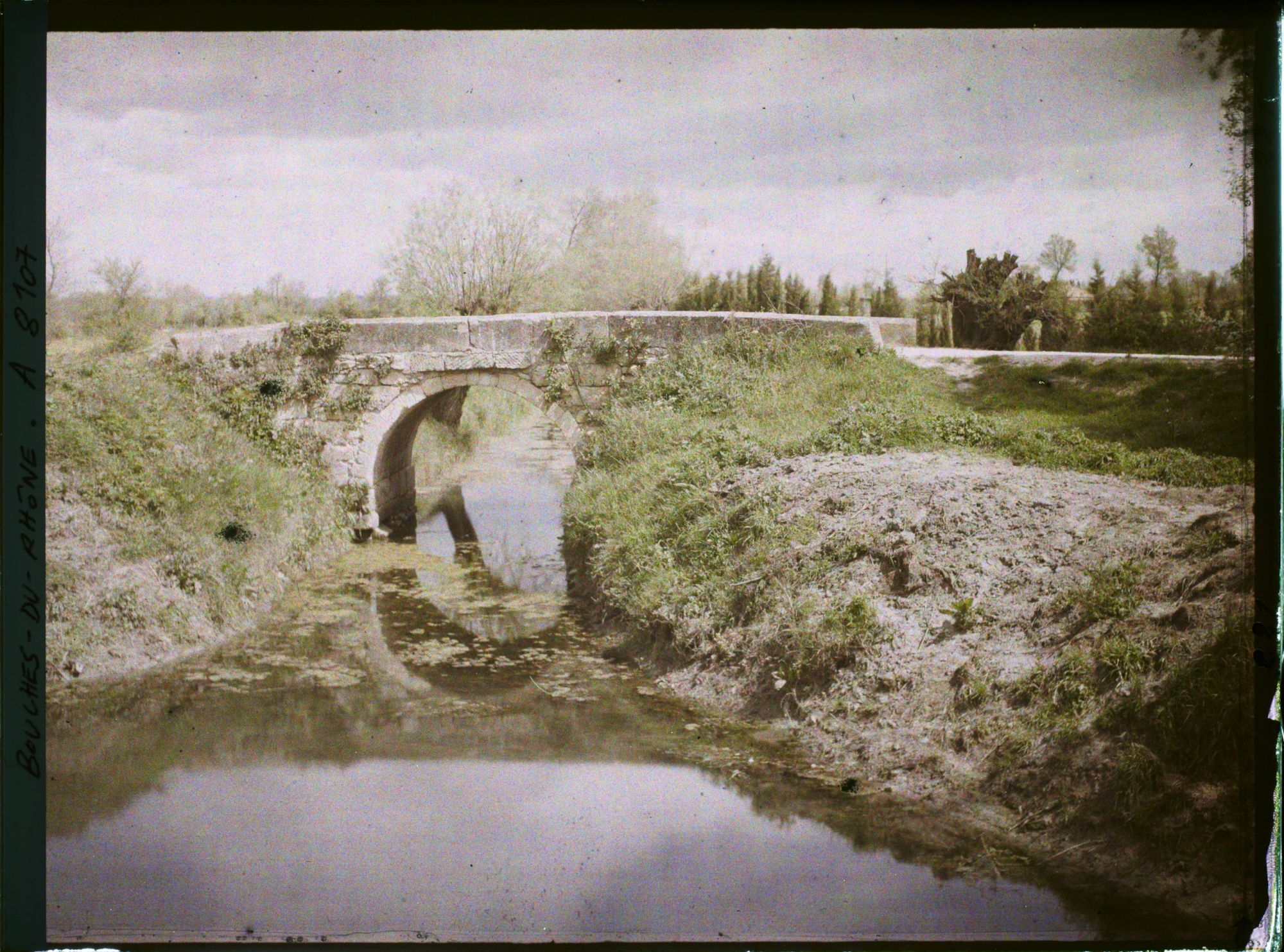Image représentant Le canal de vidange le Vigueirat