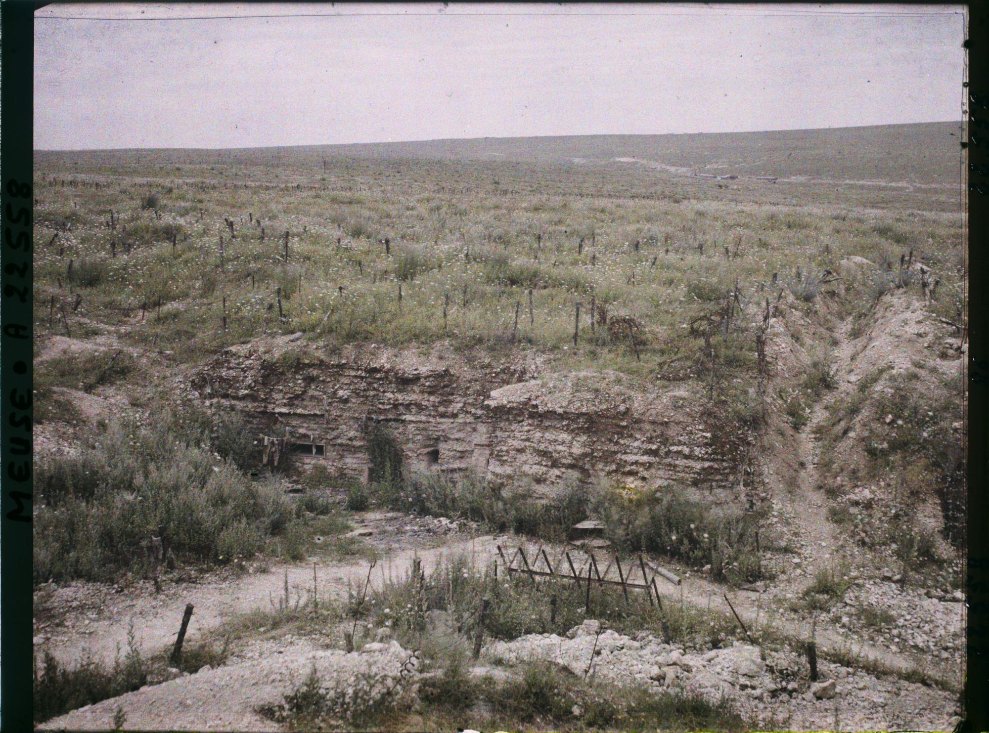 Image représentant France, Vaux, Vue prise du fort de Vaux, vers le bois du Chapitre