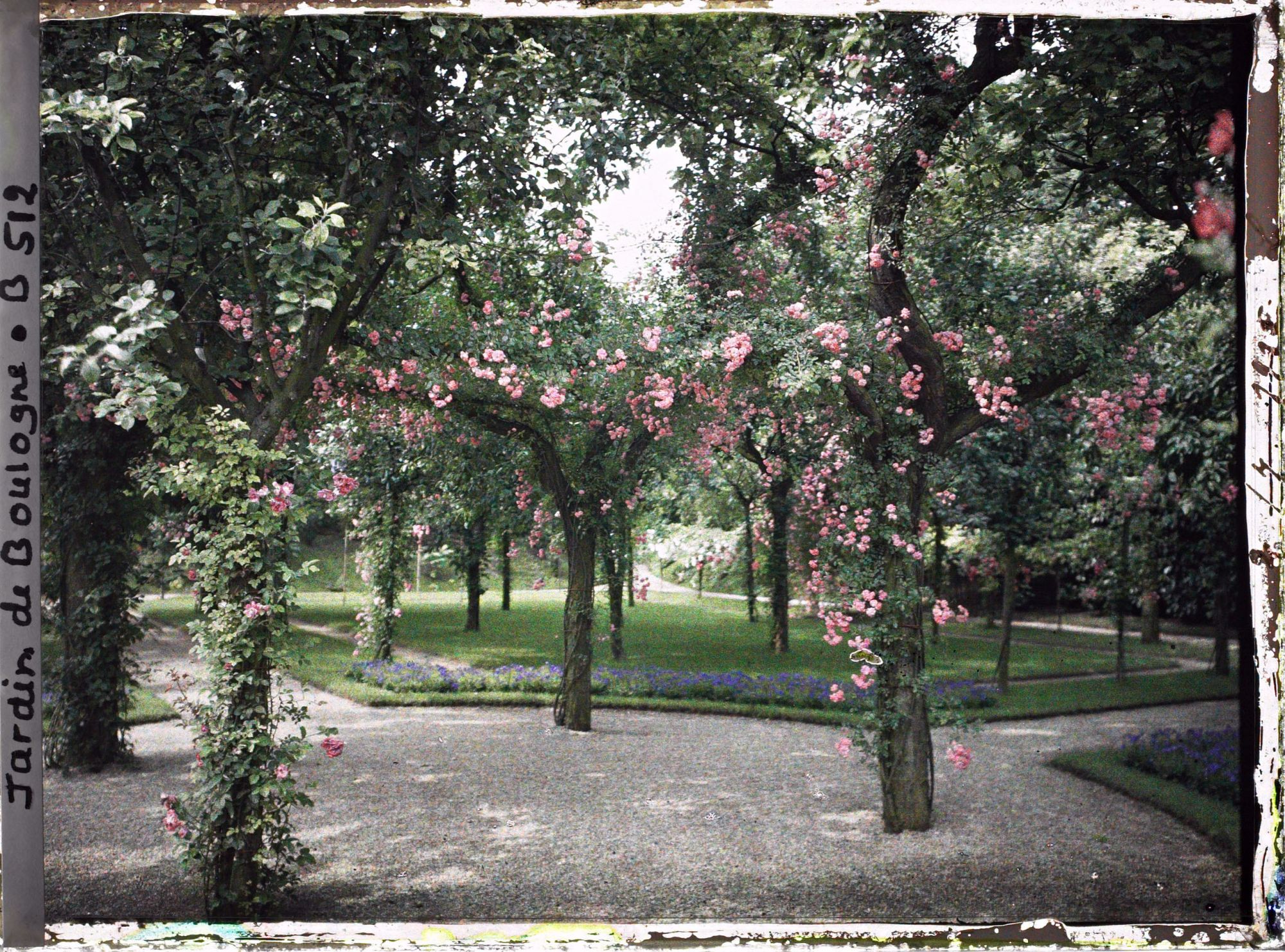 Image représentant Partie sud-ouest du verger-roseraie vue depuis le rond-point proche de la dépendance