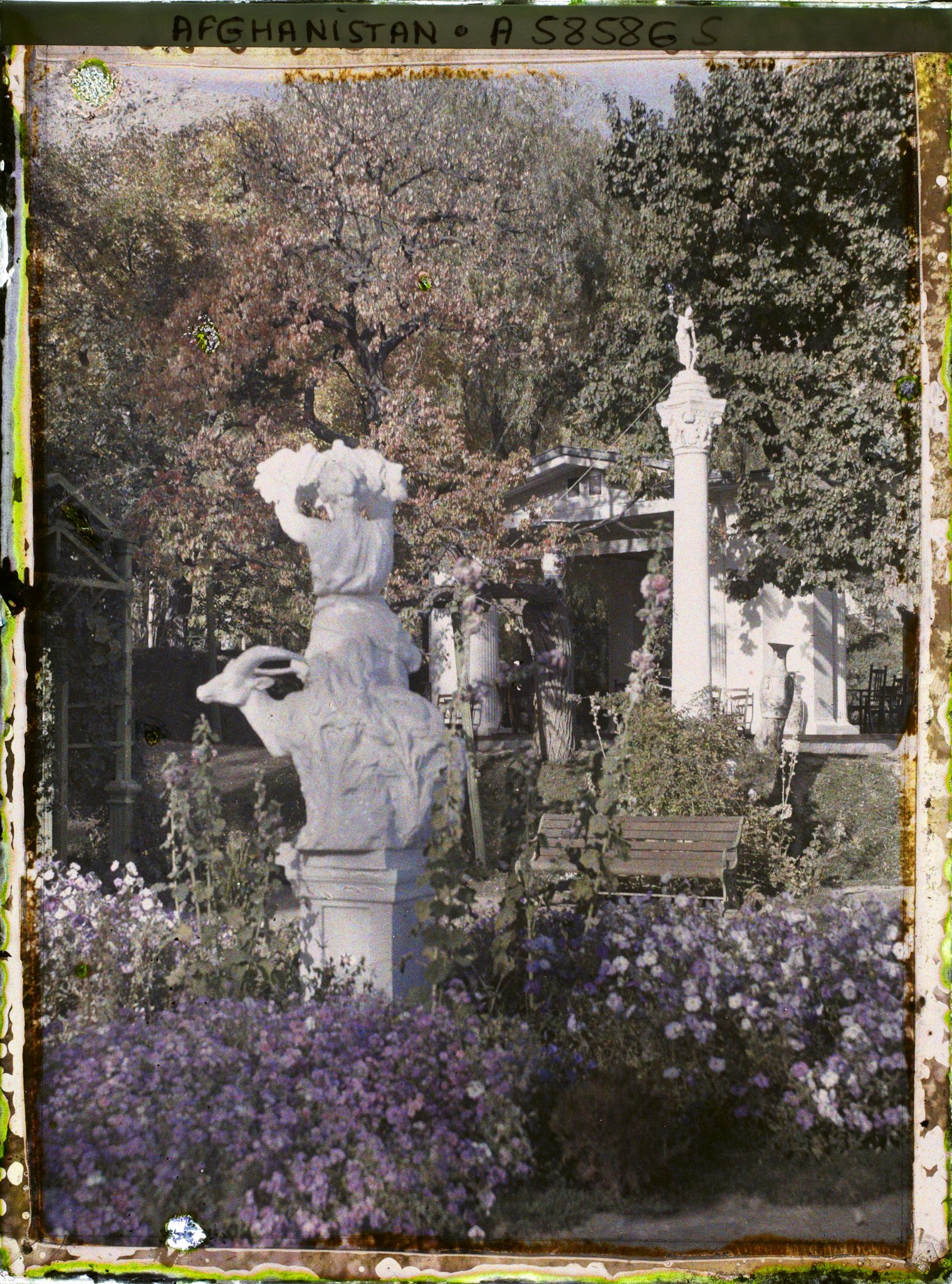 Image représentant Afghanistan, Kaboul, Jardin du Palais du Roi - Une vue dans le Jardin