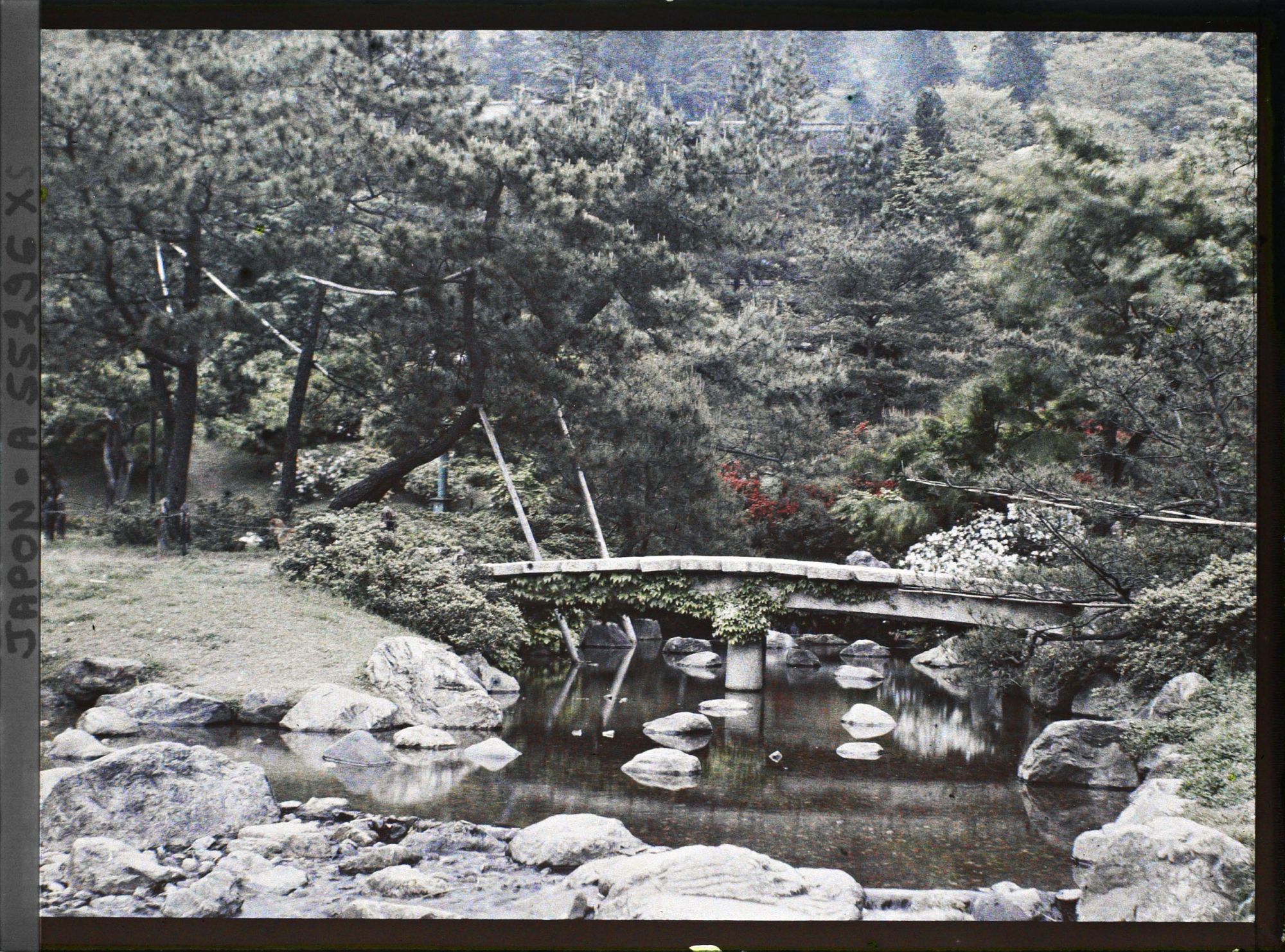 Image représentant Le parc Maruyama (Maruyama kôen)
