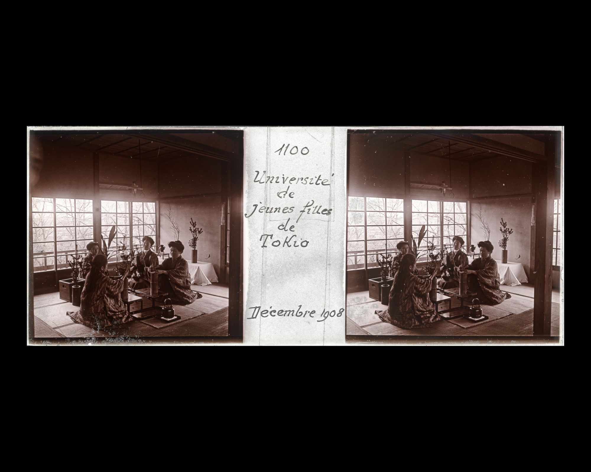 Image représentant Cours d'Ikebana à l'université de Jeunes filles