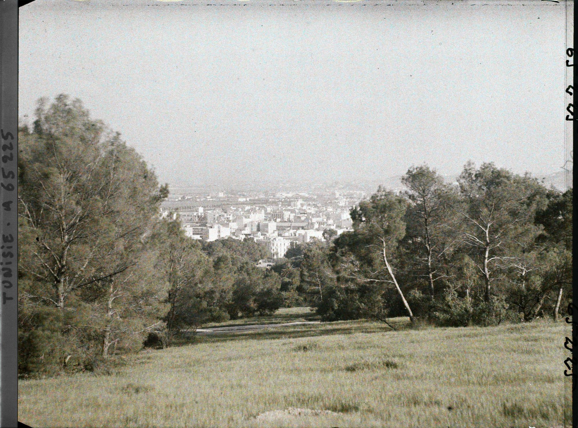 Image représentant Panorama de la ville pris le soir