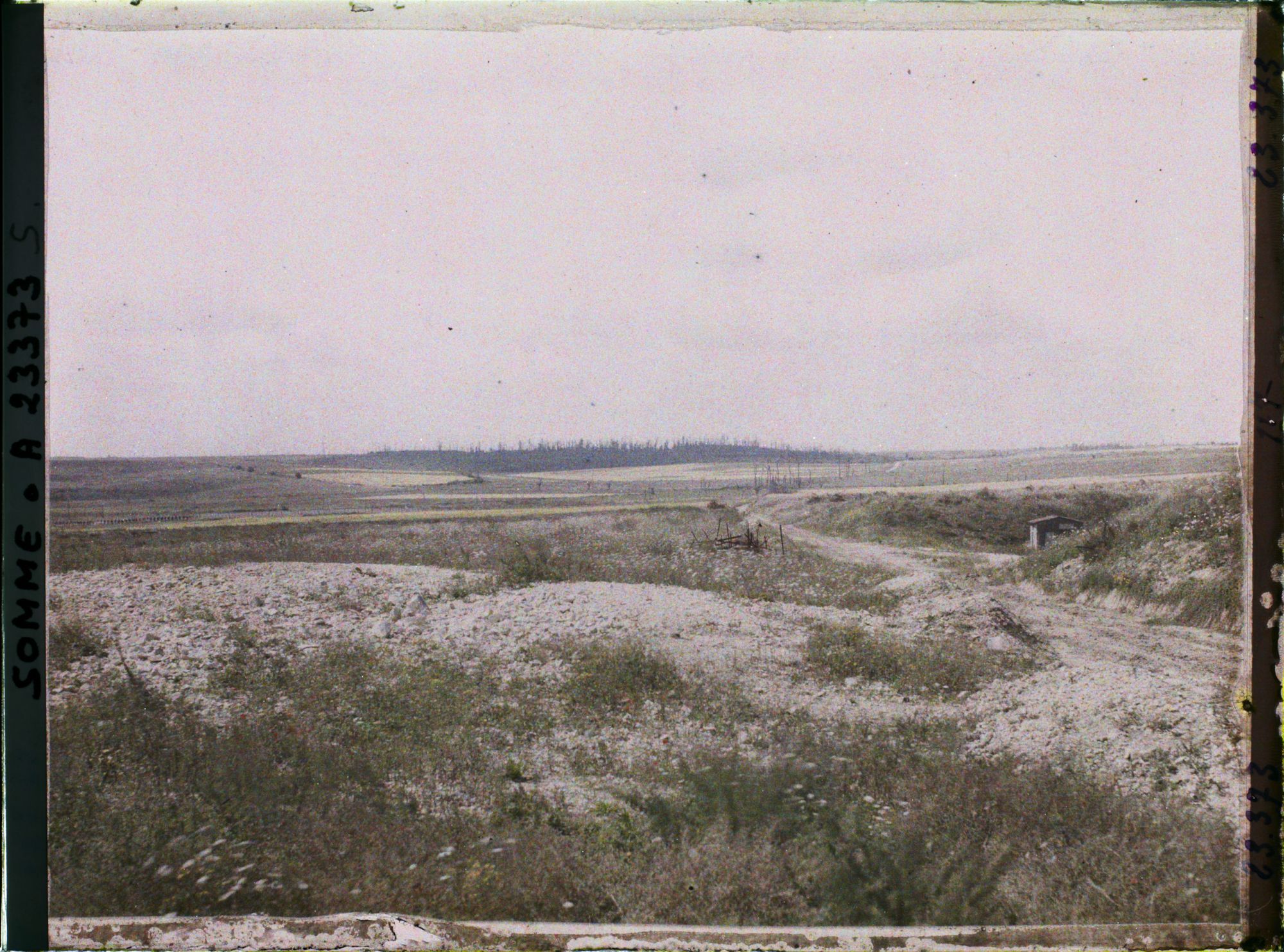 Image représentant France, Barleux, Vue vers le bois de Belloy en Santerre