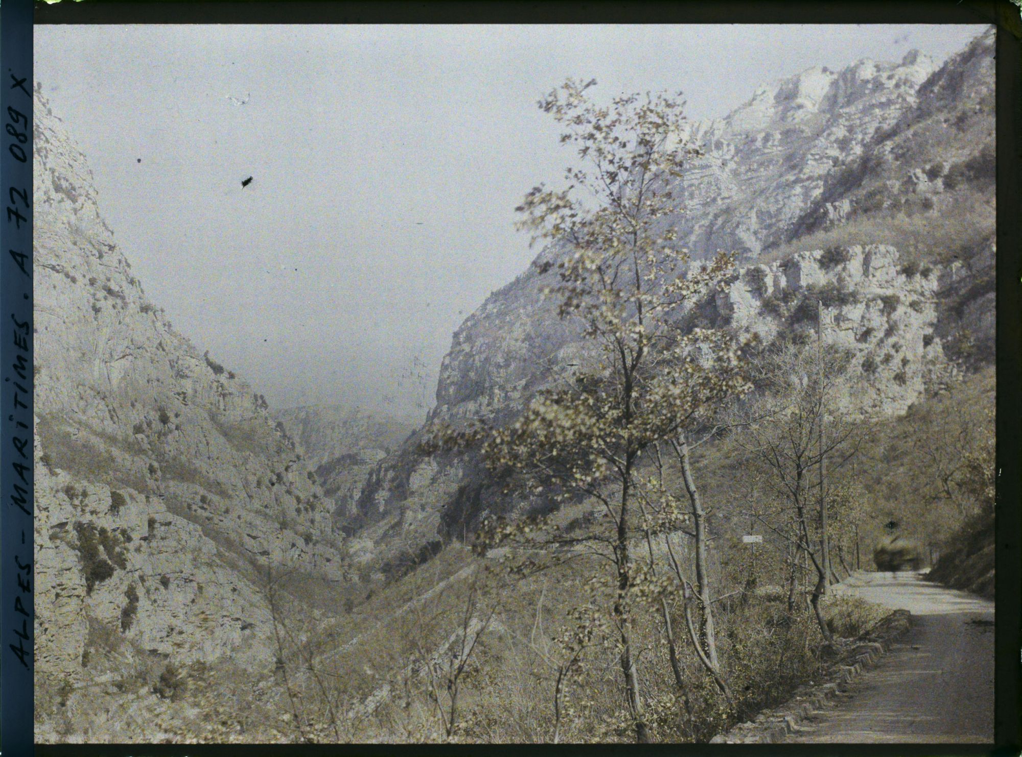 Image représentant Les Gorges du Loup ?