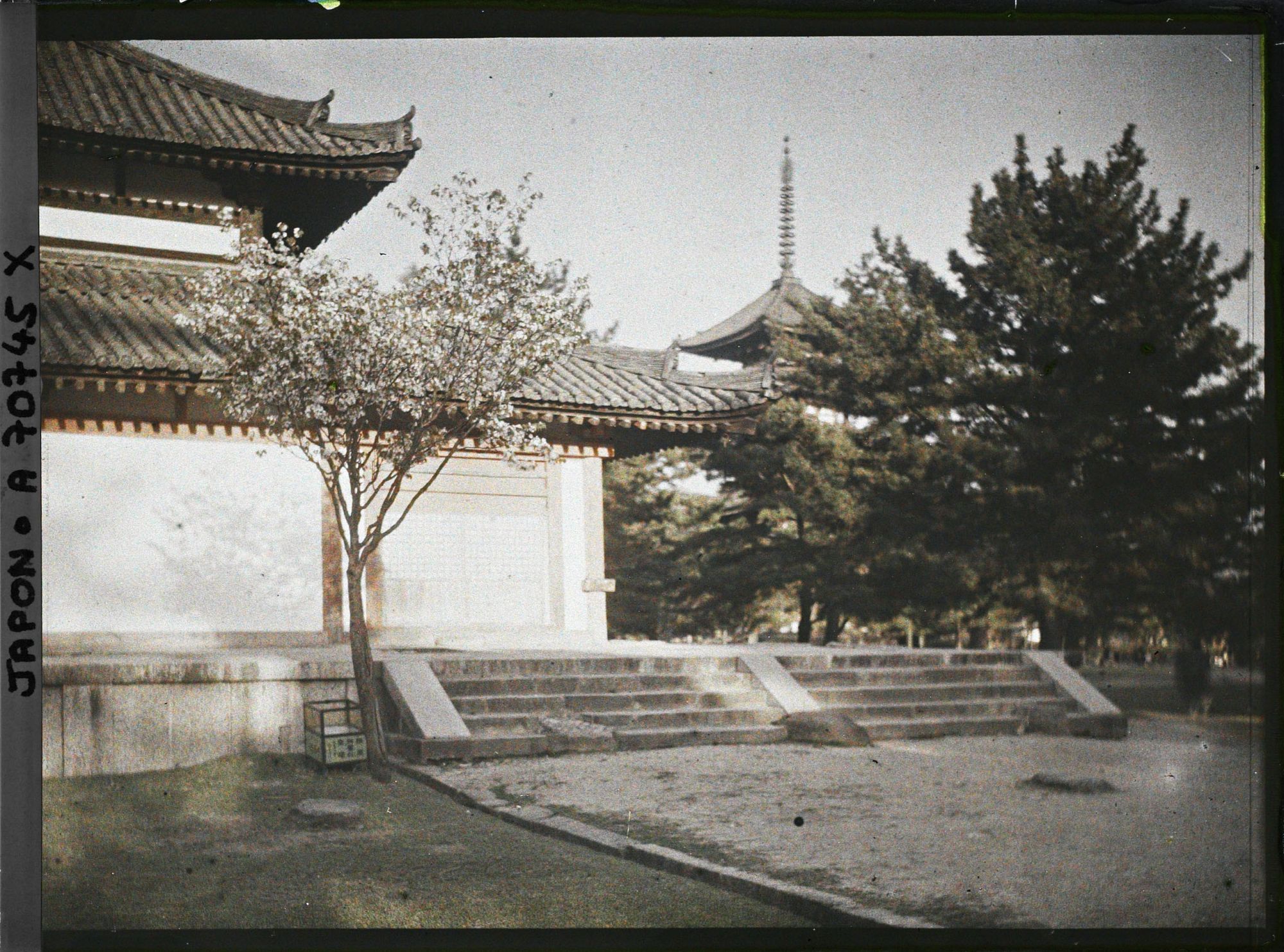 Image représentant Temple Kôfuku-ji : pavillon Chû-kondô et le sommet de la Gojunoto (au fond)