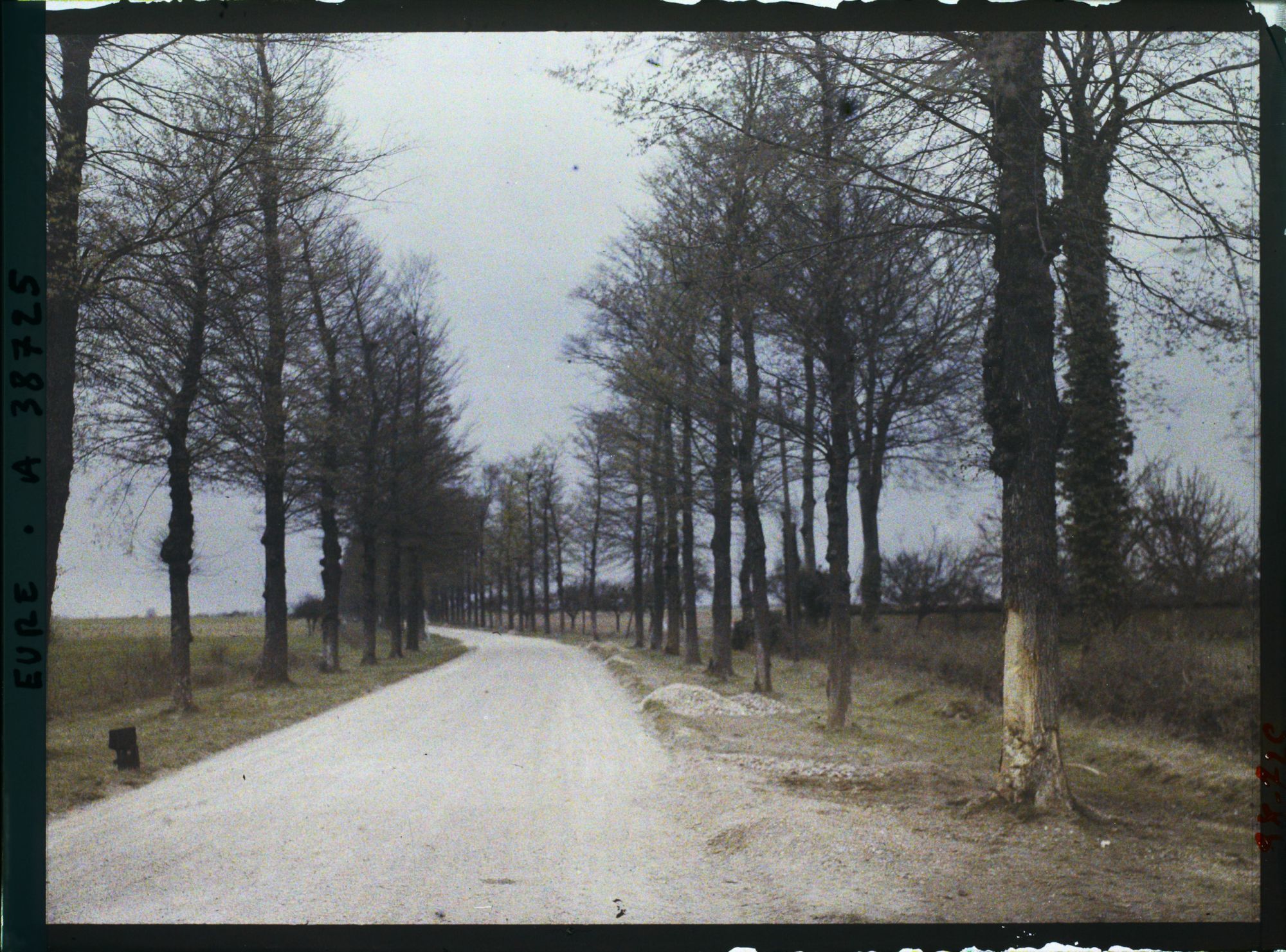 Image représentant Lieu de l'accident d'automobile survenu au Prince Kitashirakawa, route d'Evreux à Deauville