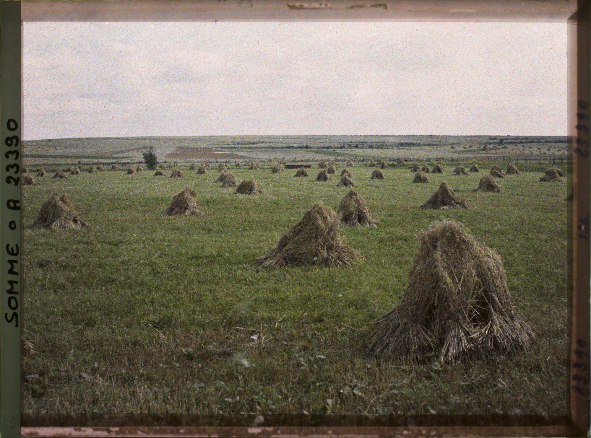 Image représentant France, Barleux, Autre aspect de la terre Couverte de moissons