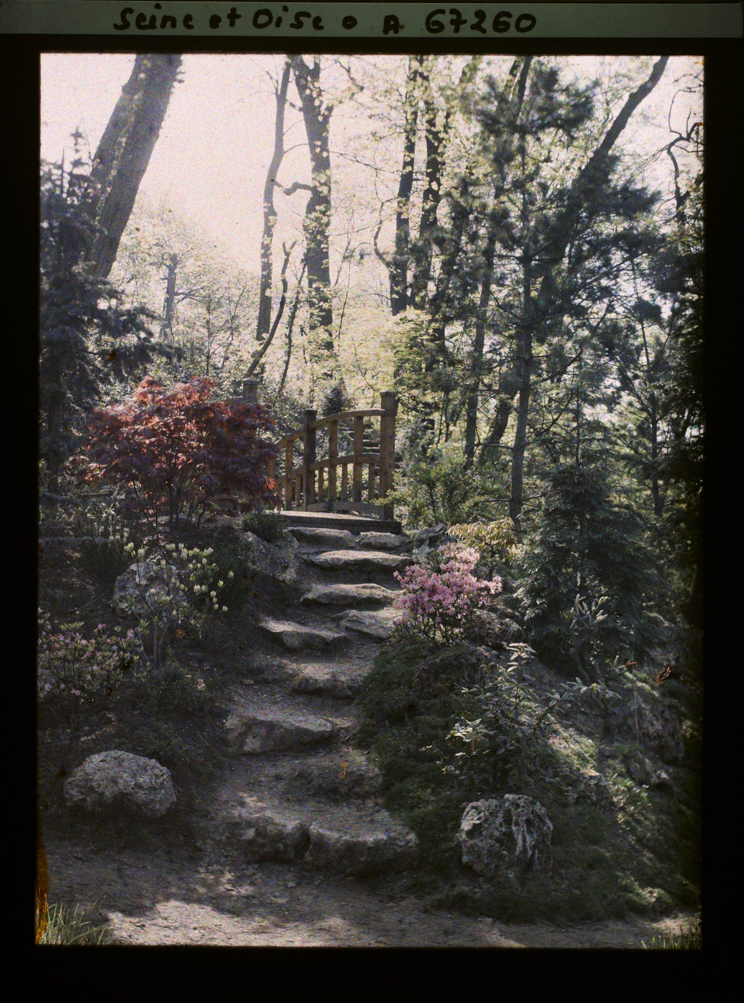 Image représentant Le jardin japonais de l'école normale supérieure de jeunes filles (ENSJF)