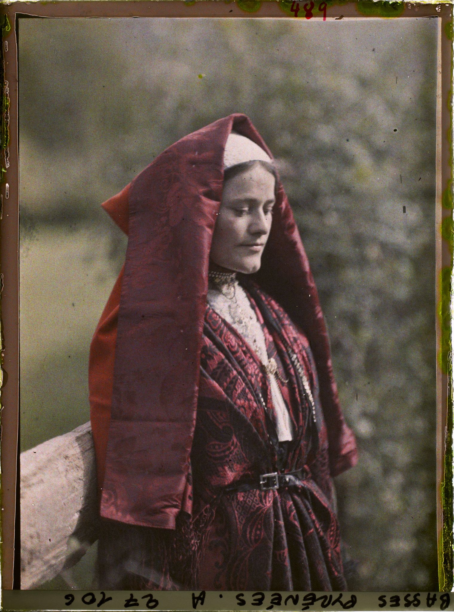 Image représentant France , Vallée D'Ossau, Ossaloise de Pont de Béon