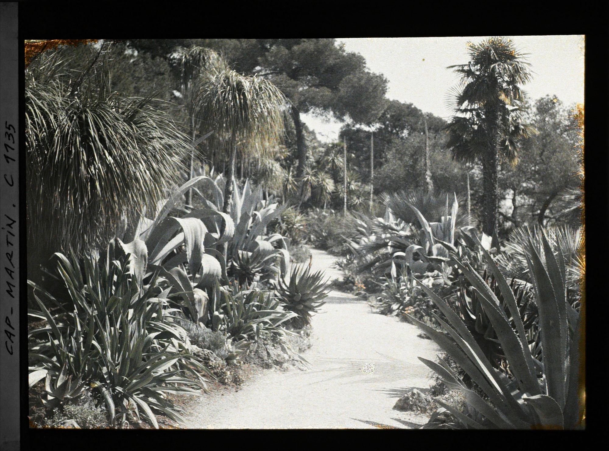 Image représentant le Jardin