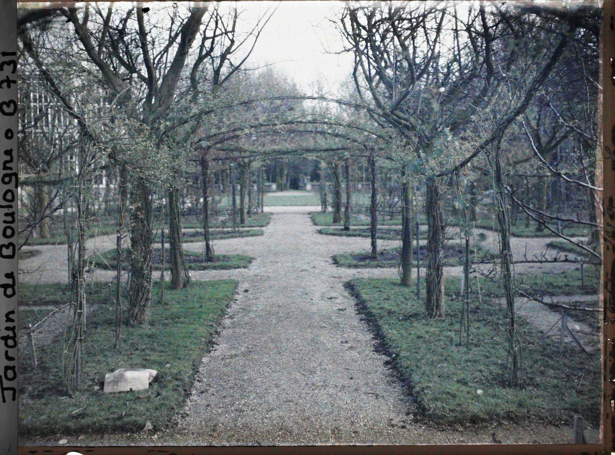 Image représentant Axe central du verger-roseraie vu vers le jardin anglais, non loin du rond-point côté jardin français